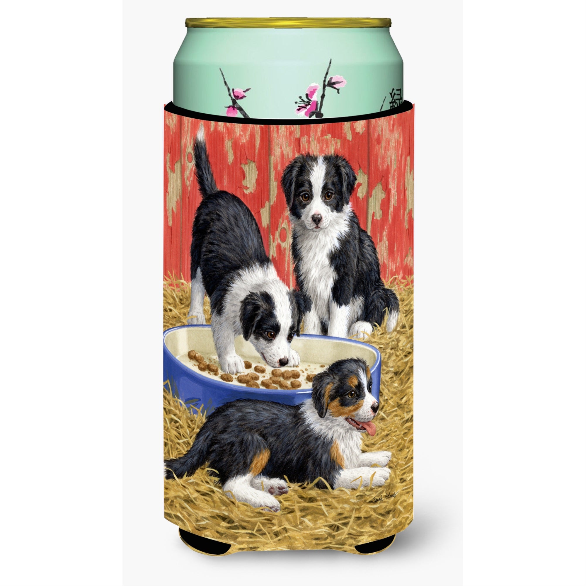 'Caroline'S Treasures Border Collie Pups Tall Boy Koozie Hugger, Multicolor''