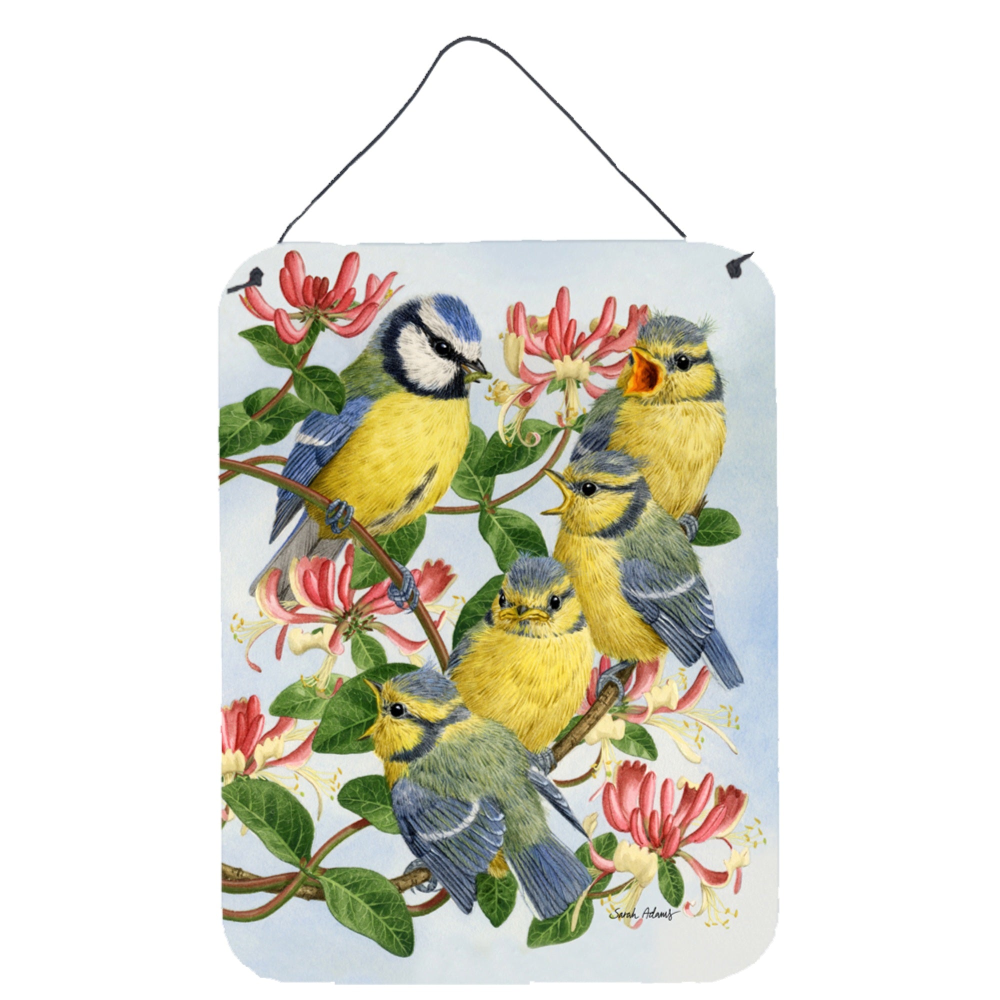 'Caroline'S Treasures Eurasian Blue Tits At Feeding Time Wall Or Door Hanging Prints Asa2081Ds1216, 16Hx12W, Multicolor''