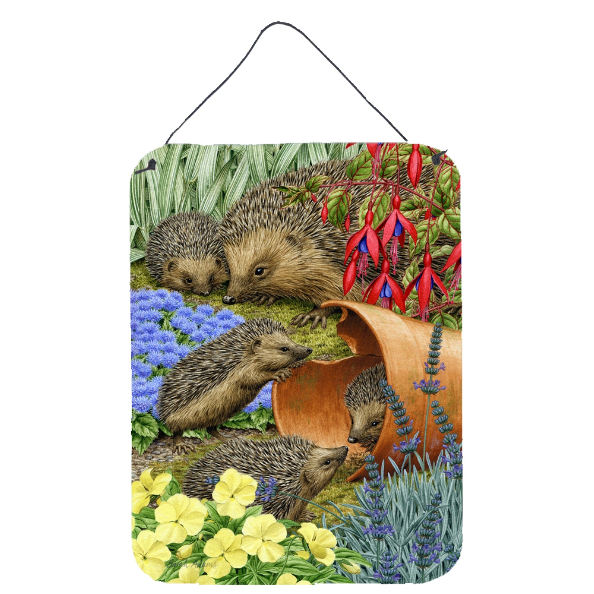 'Caroline'S Treasures Hedgehogs In The Flower Pot Wall Or Door Hanging Prints Asa2087Ds1216, 16Hx12W, Multicolor''