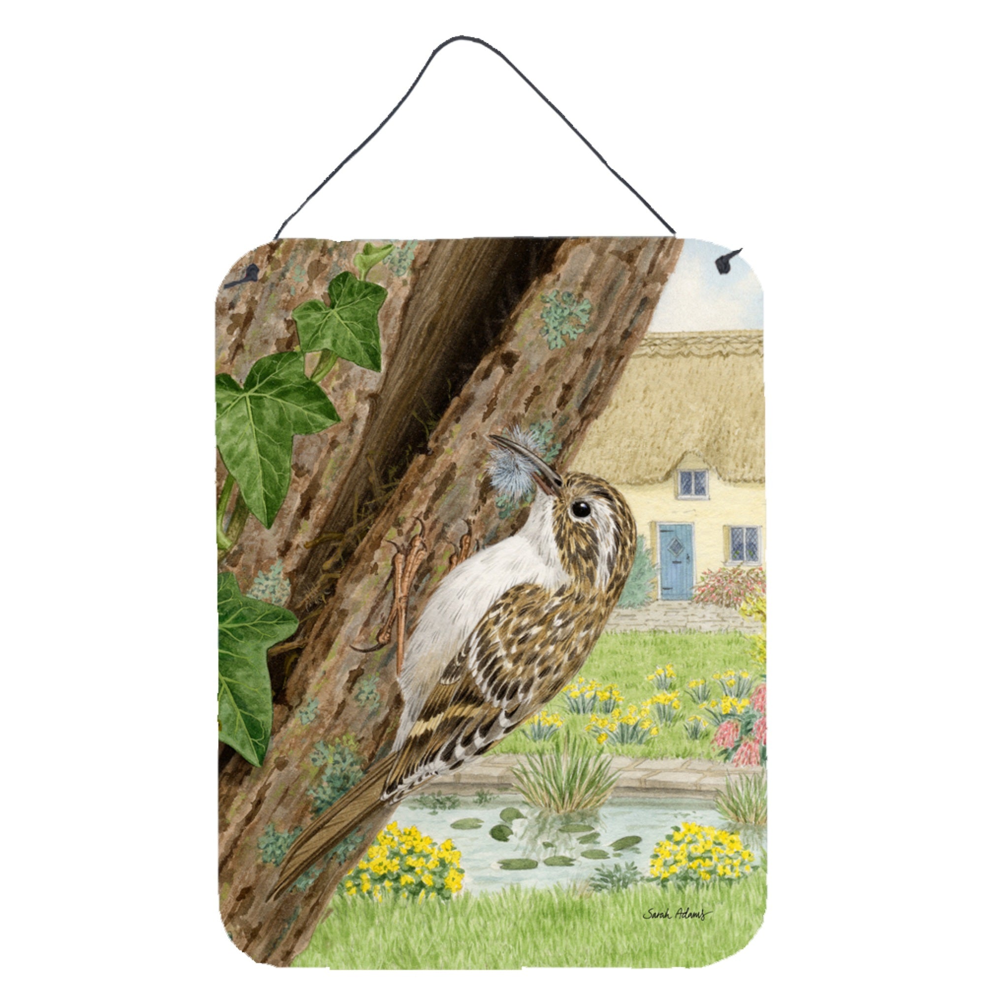 'Caroline'S Treasures Treecreeper Wall Or Door Hanging Prints Asa2094Ds1216, 16Hx12W, Multicolor''