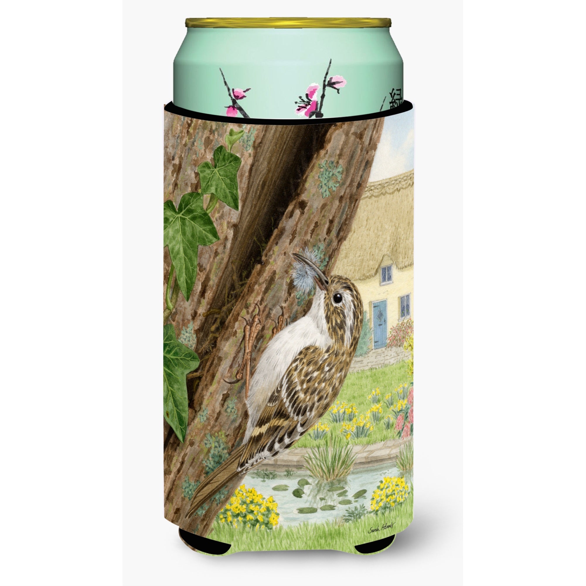'Caroline'S Treasures Asa2094Tbc Treecreeper Tall Boy Koozie Hugger, Multicolor''