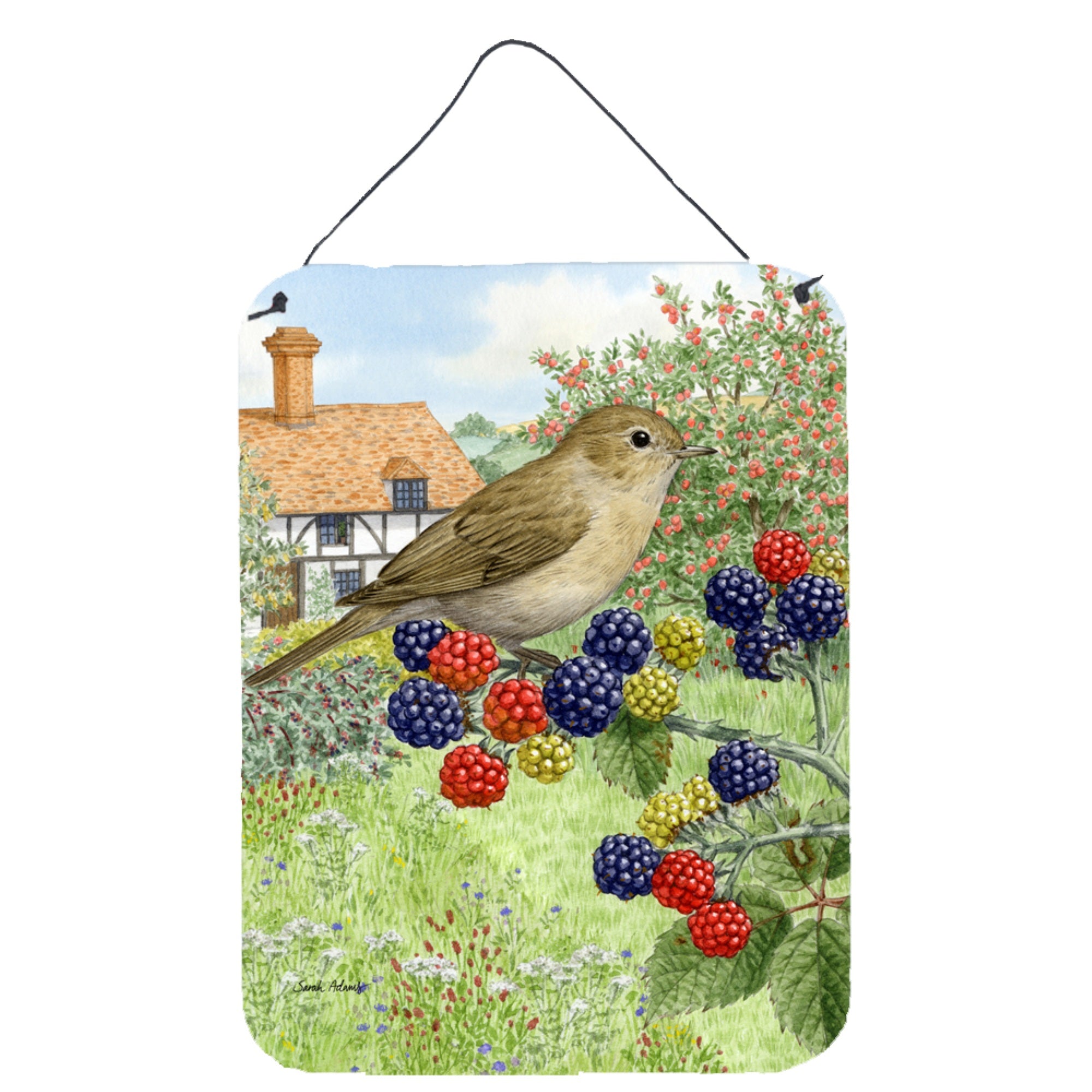 'Caroline'S Treasures Garden Warbler Wall Or Door Hanging Prints Asa2096Ds1216, 16Hx12W, Multicolor''