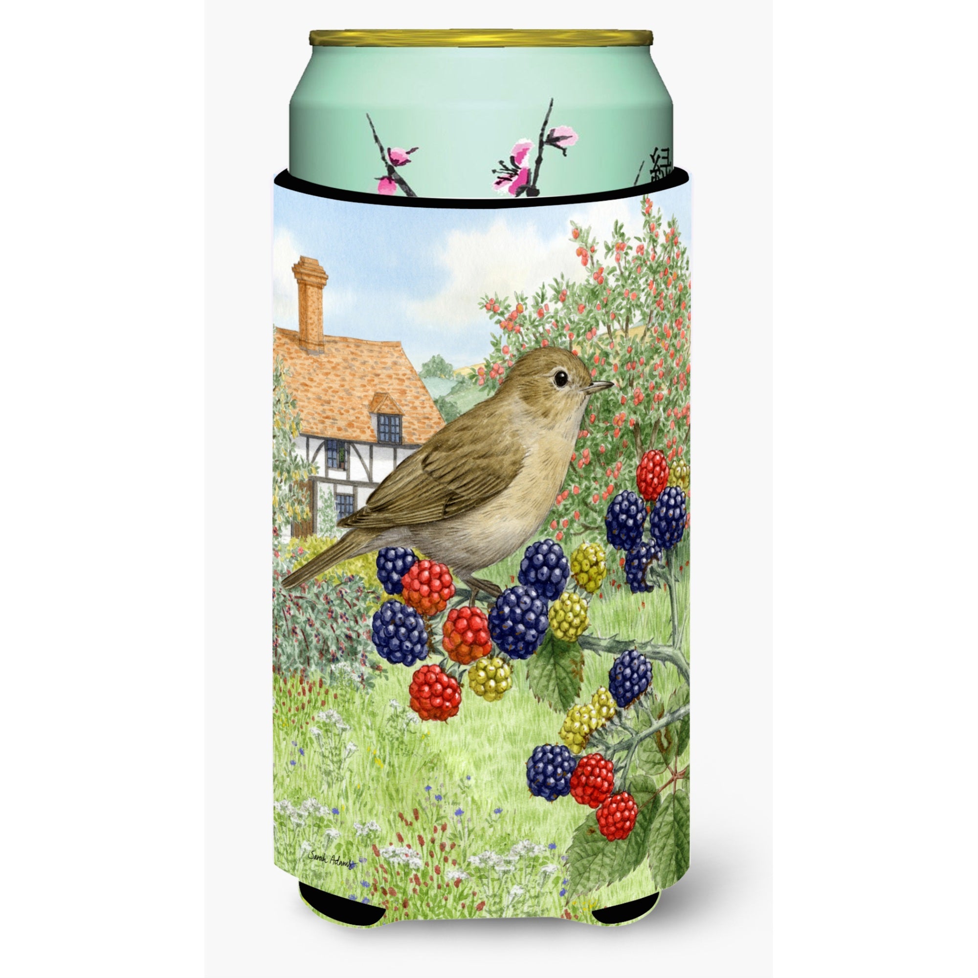 'Caroline'S Treasures Garden Warbler Tall Boy Koozie Hugger, Multicolor''