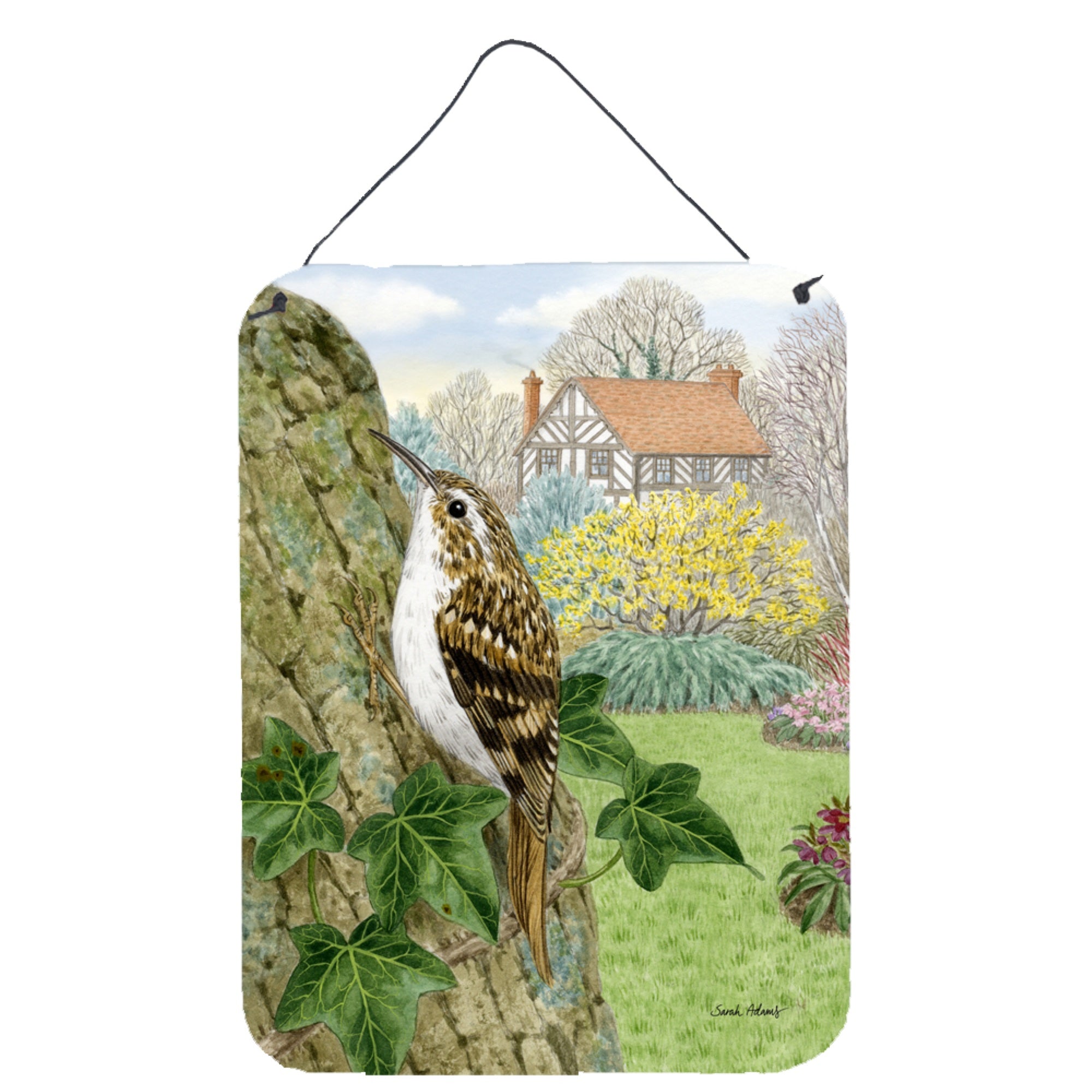 'Caroline'S Treasures Treecreeper Wall Or Door Hanging Prints Asa2099Ds1216, 16Hx12W, Multicolor''