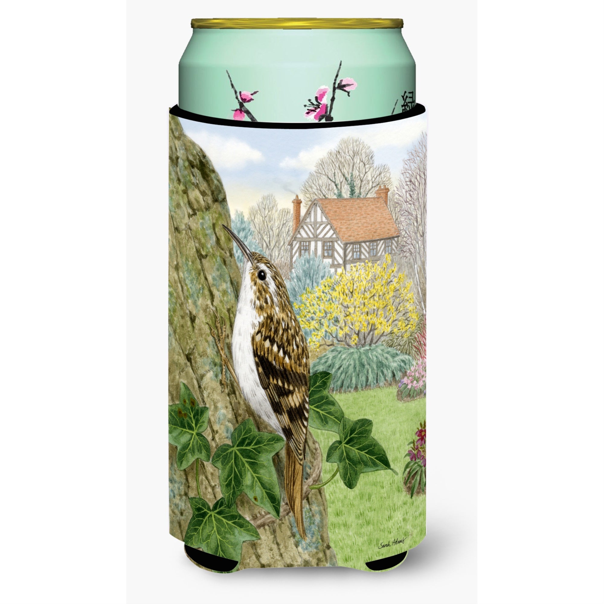 'Caroline'S Treasures Asa2099Tbc Treecreeper Tall Boy Koozie Hugger, Multicolor''