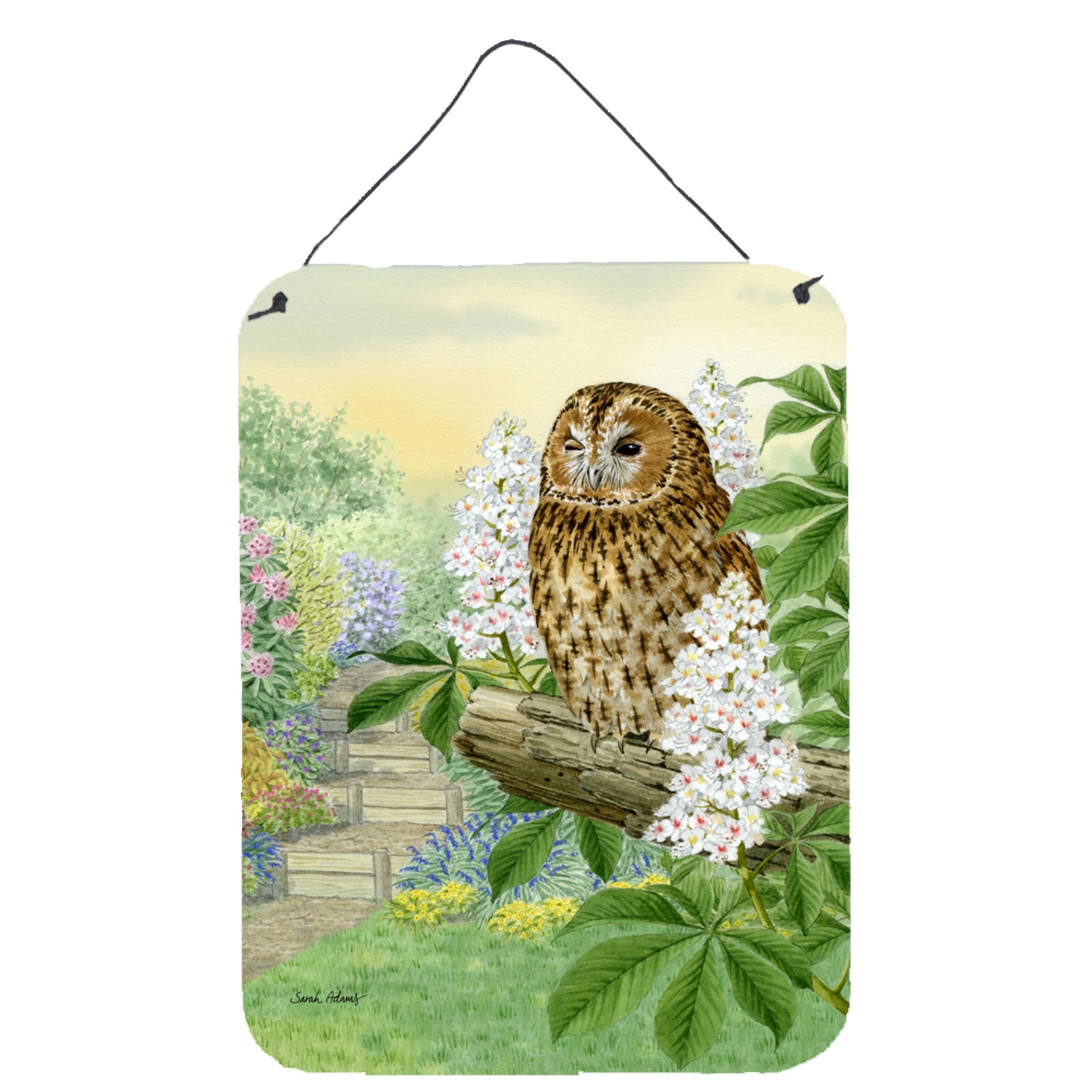 'Caroline'S Treasures Tawny Owl Wall Or Door Hanging Prints Asa2101Ds1216, 16Hx12W, Multicolor''