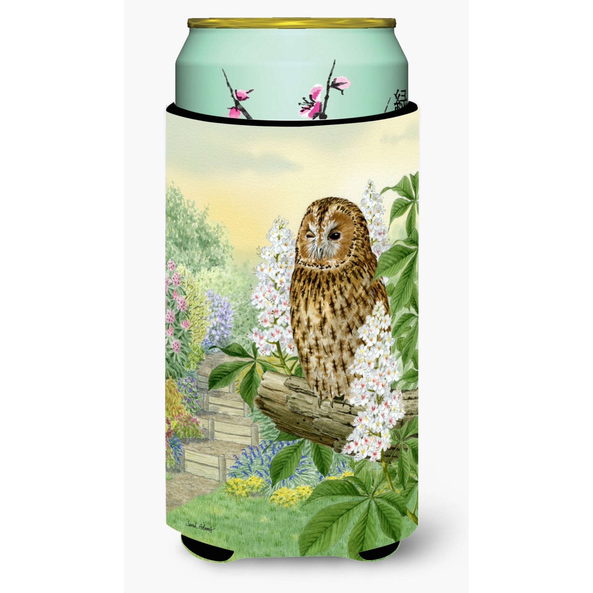 'Caroline'S Treasures Asa2101Tbc Tawny Owl Tall Boy Koozie Hugger, Multicolor''
