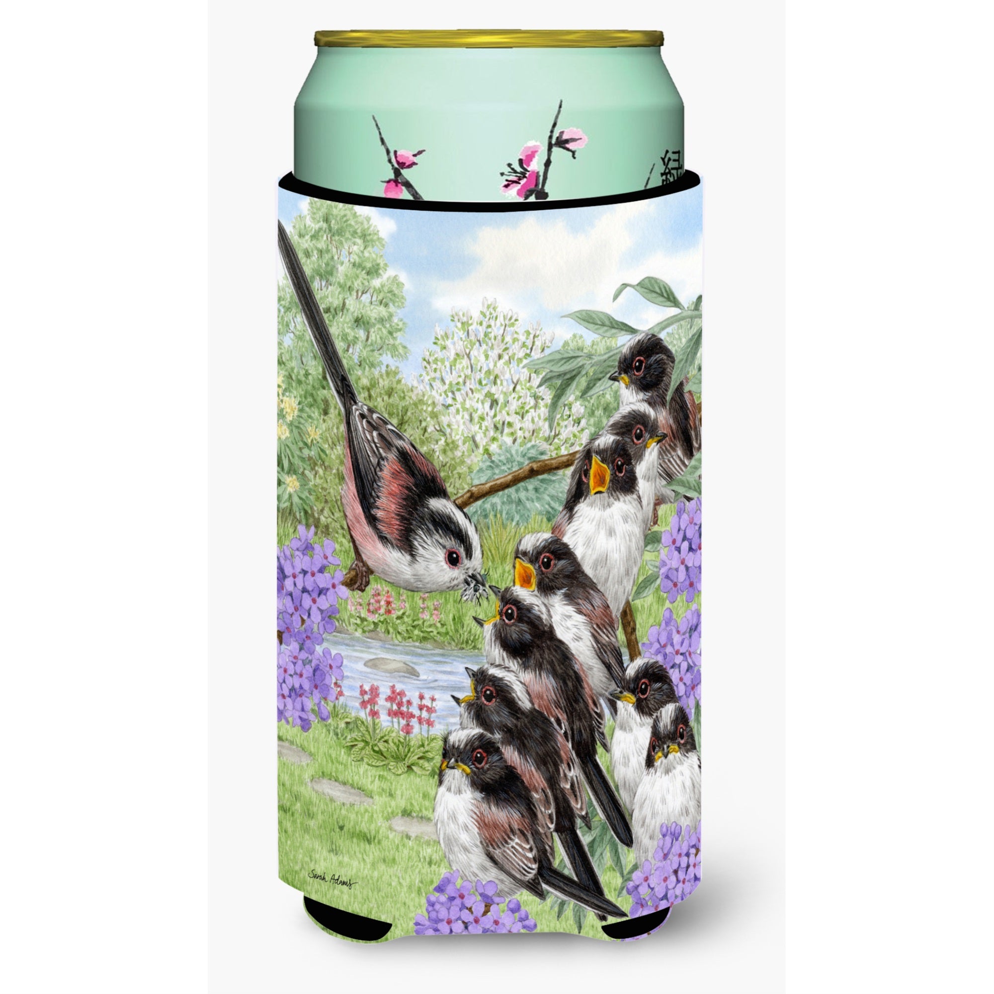 'Caroline'S Treasures Asa2102Tbc Long Tailed Tits Tall Boy Koozie Hugger, Multicolor''