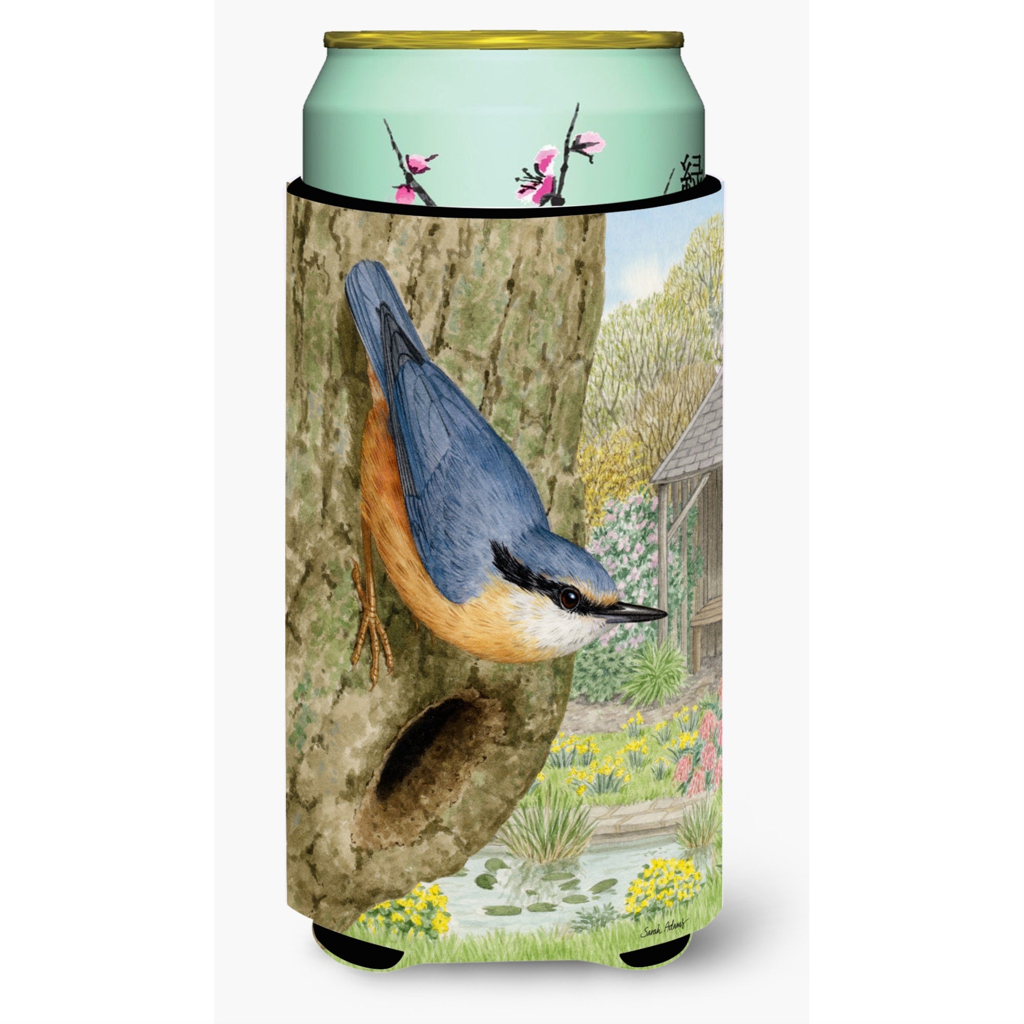 'Caroline'S Treasures Red-Breasted Nuthatch Tall Boy Koozie Hugger, Multicolor''
