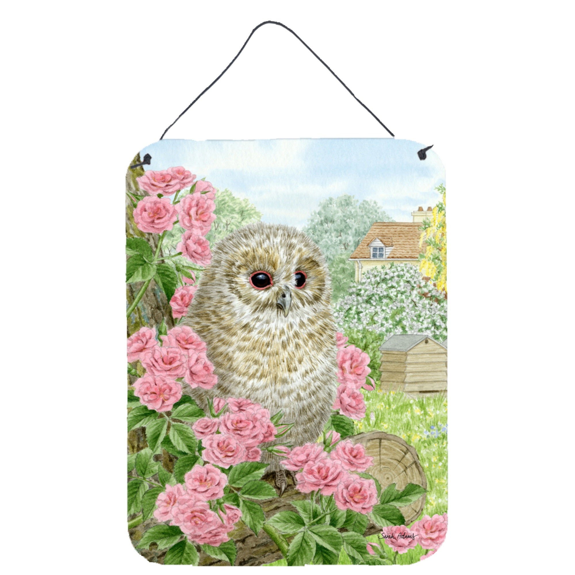 'Caroline'S Treasures Tawny Owlet Wall Or Door Hanging Prints Asa2109Ds1216, 16Hx12W, Multicolor''