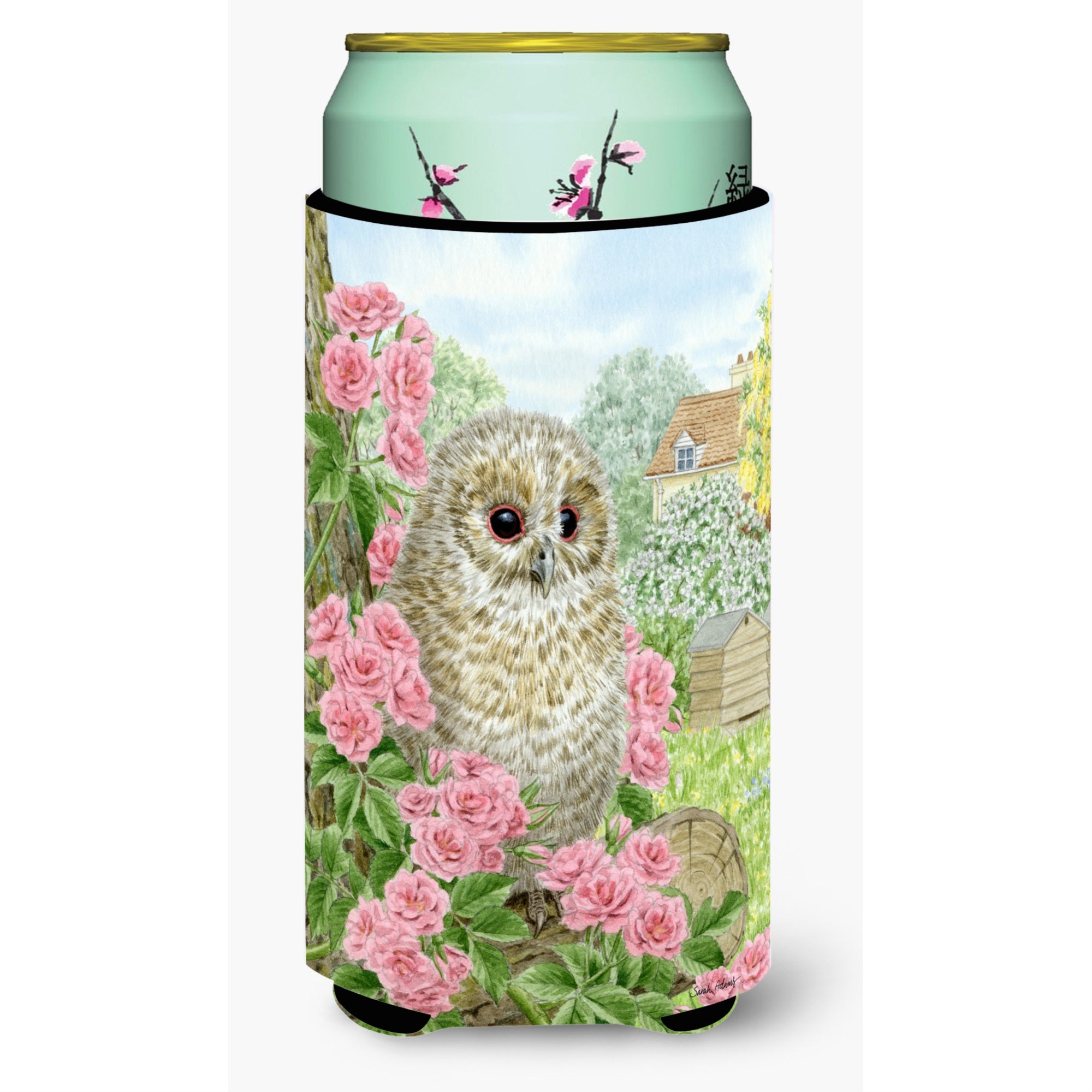 'Caroline'S Treasures Tawny Owlet Tall Boy Koozie Hugger, Multicolor''
