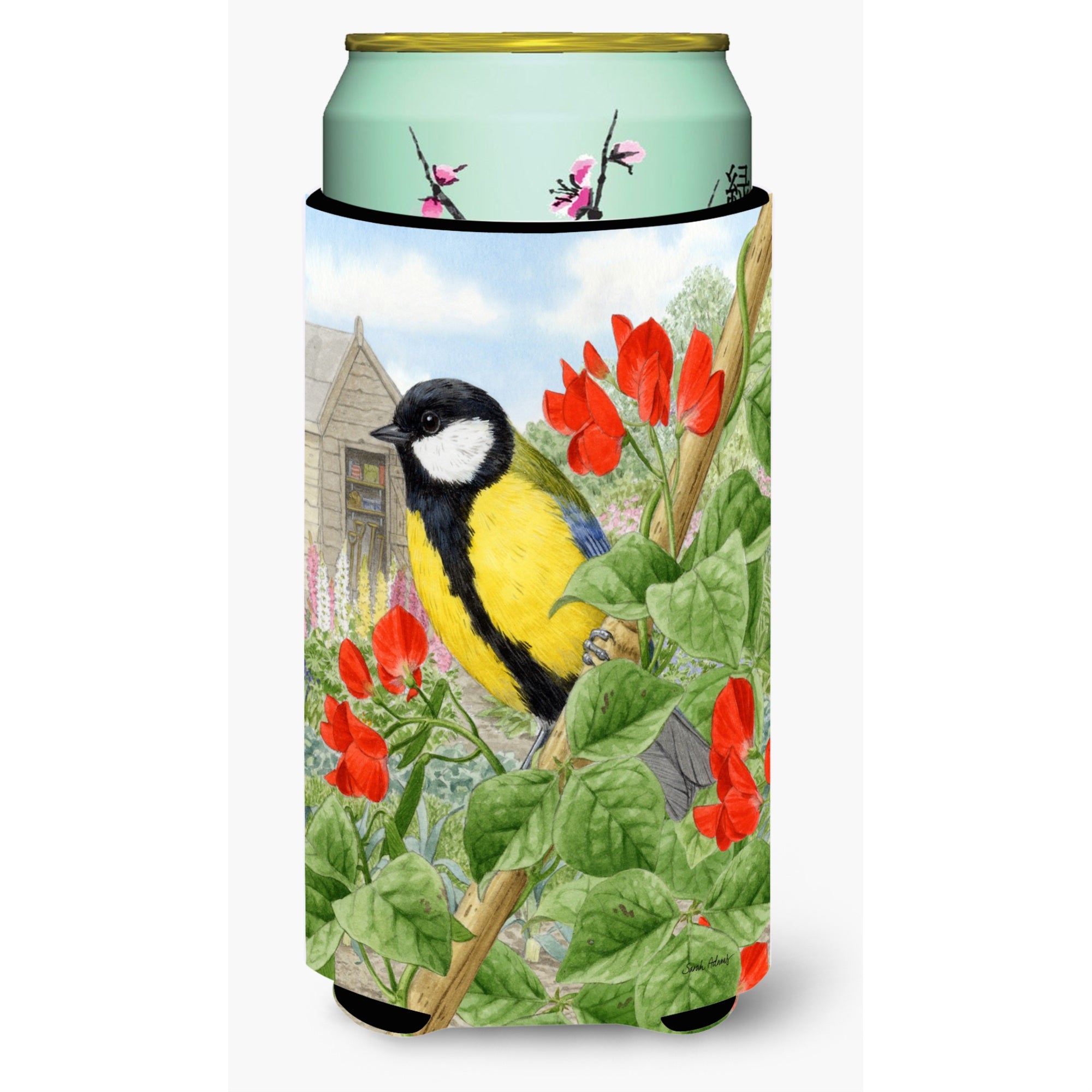 'Caroline'S Treasures Asa2110Tbc Great Tit Tall Boy Koozie Hugger, Multicolor''