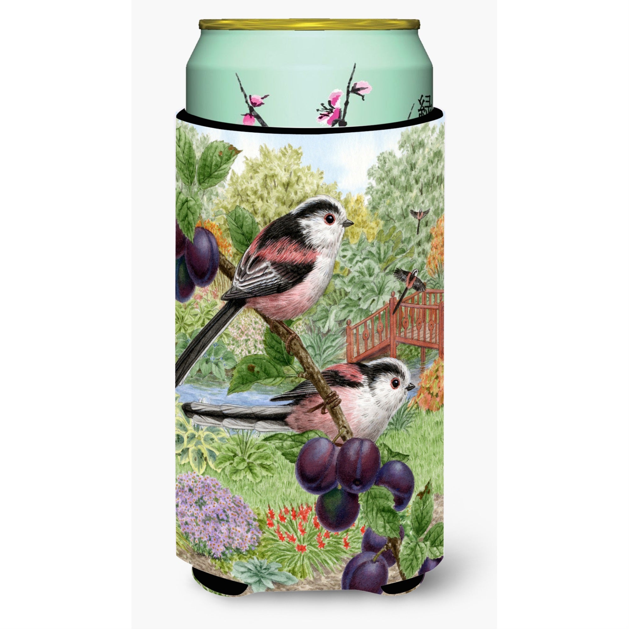 'Caroline'S Treasures Asa2115Tbc Long Tailed Tits Tall Boy Koozie Hugger, Multicolor''