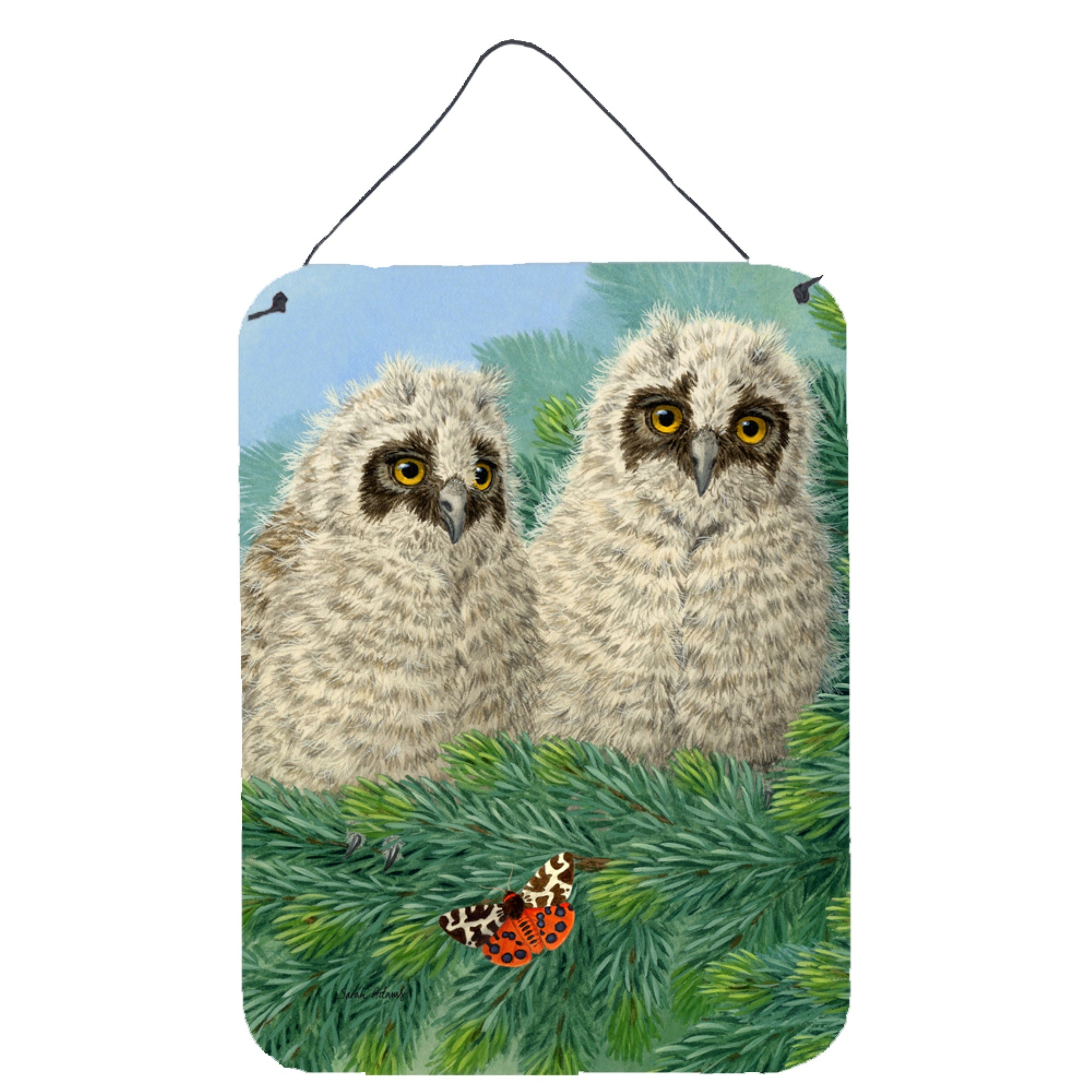 'Caroline'S Treasures Owlets Wall Or Door Hanging Prints Asa2126Ds1216, 16Hx12W, Multicolor''