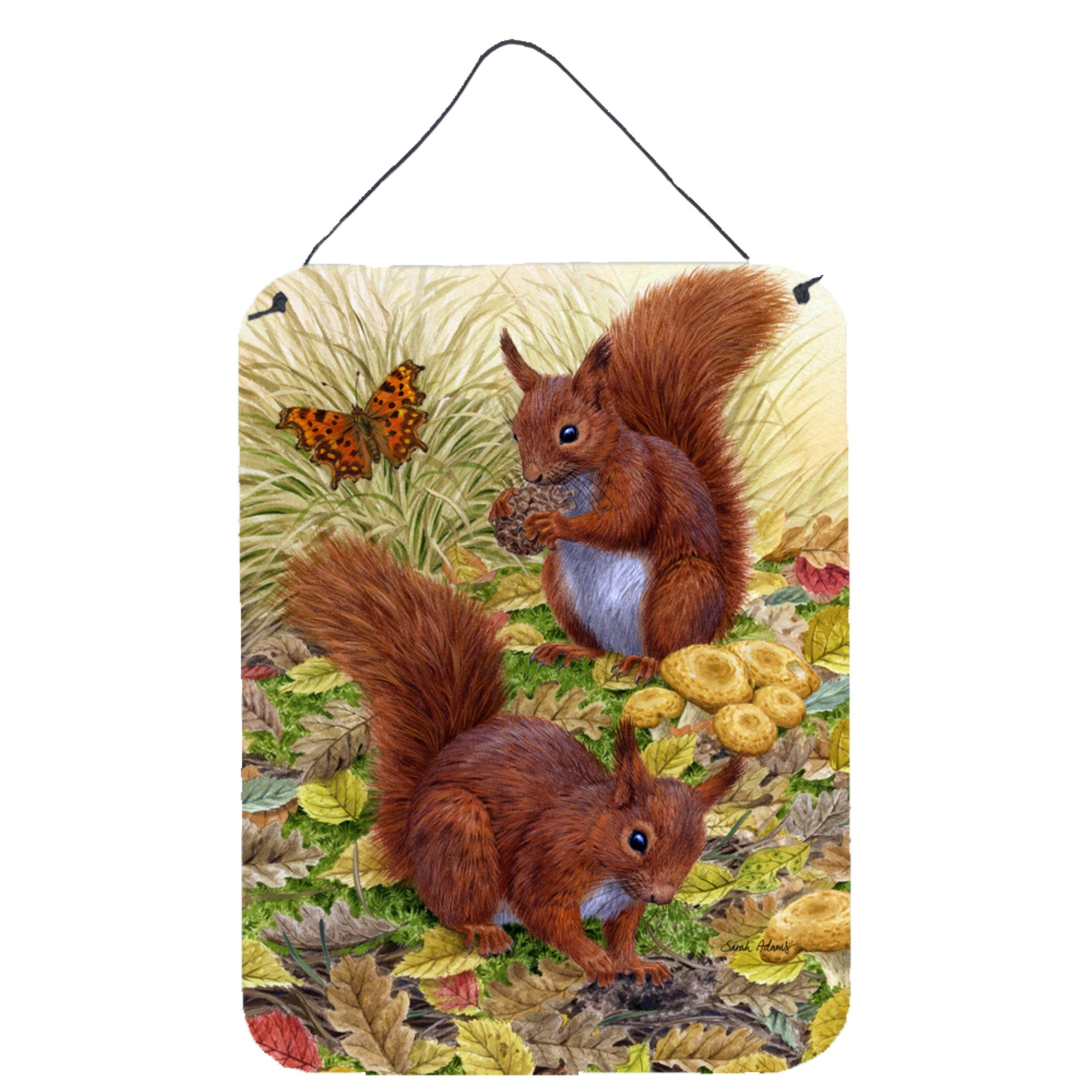 'Caroline'S Treasures Red Squirrels Wall Or Door Hanging Prints Asa2133Ds1216, 16Hx12W, Multicolor''