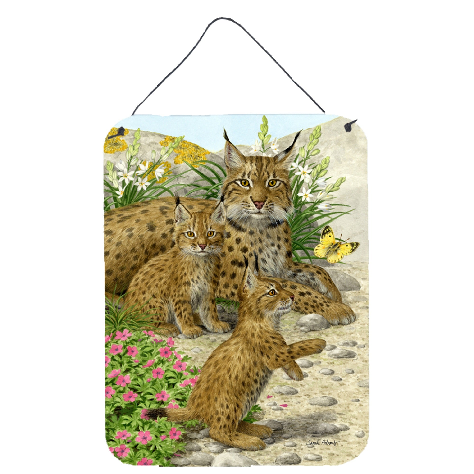 'Caroline'S Treasures Lynx & Cubs Wall Or Door Hanging Prints Asa2134Ds1216, 16Hx12W, Multicolor''