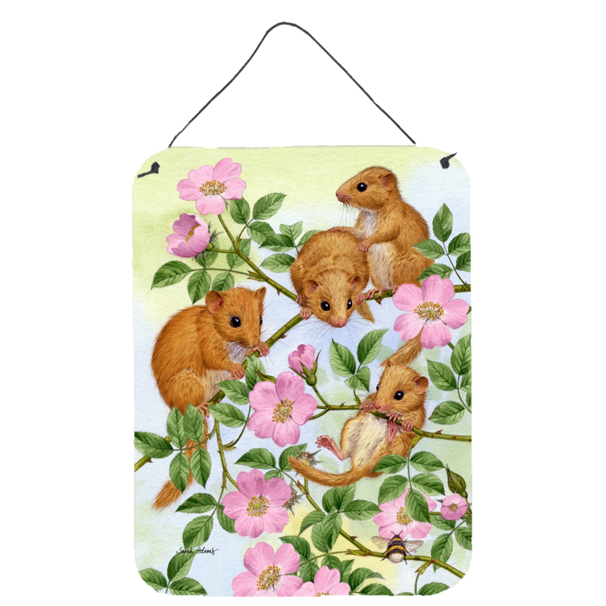 'Caroline'S Treasures Dormice Dormouse Wall Or Door Hanging Prints Asa2136Ds1216, 16Hx12W, Multicolor''