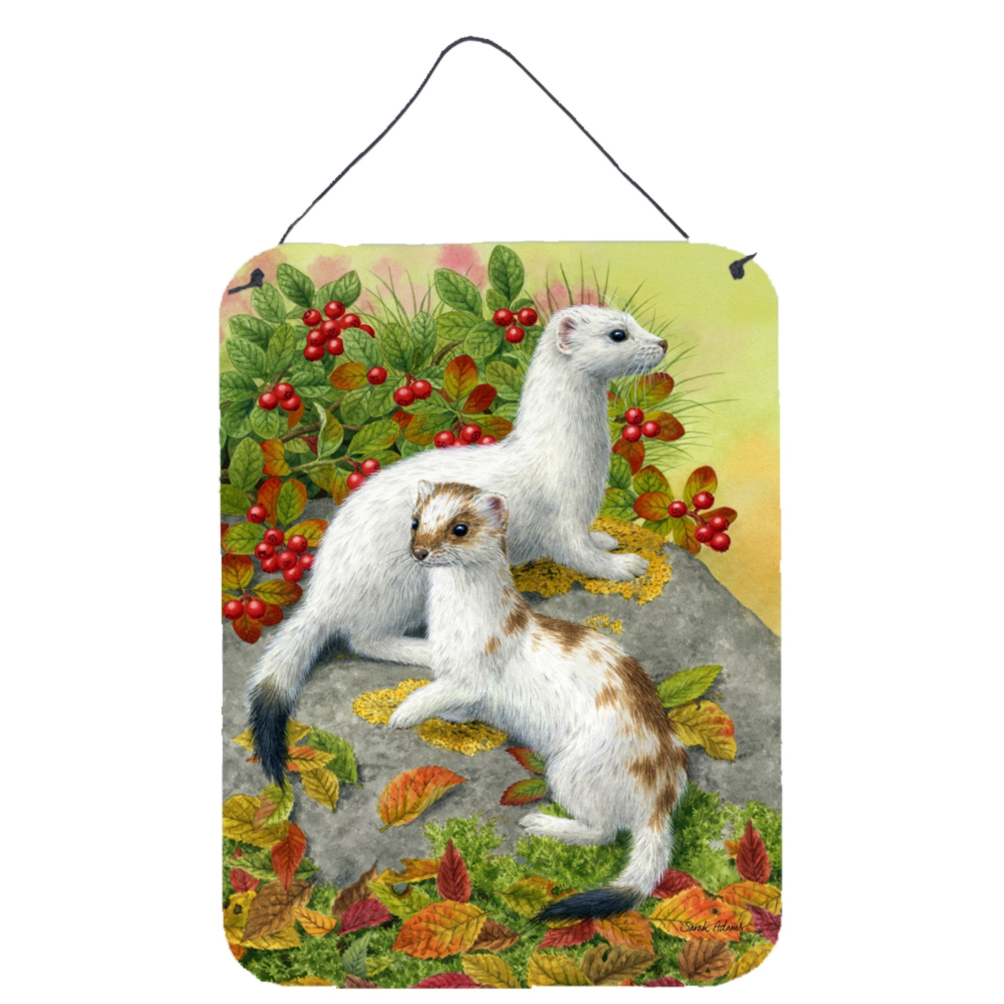 'Caroline'S Treasures Ermine Stoat Short-Tailed Weasel Wall Or Door Hanging Prints Asa2138Ds1216, 16Hx12W, Multicolor''
