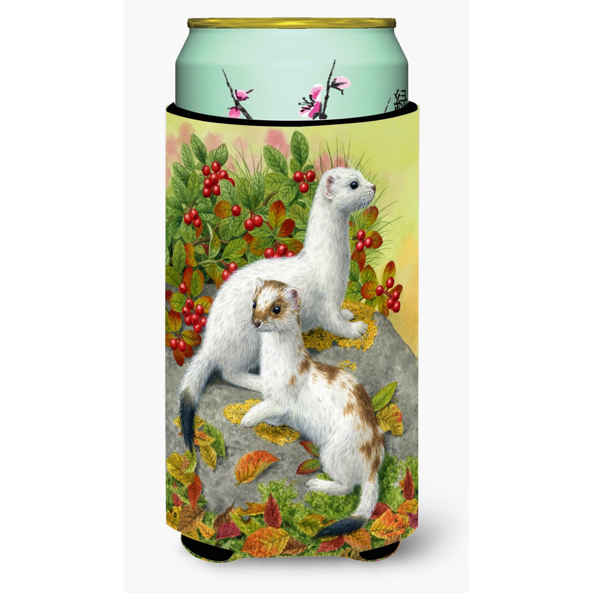 'Caroline'S Treasures Ermine Stoat Short-Tailed Weasel Tall Boy Koozie Hugger, Multicolor''