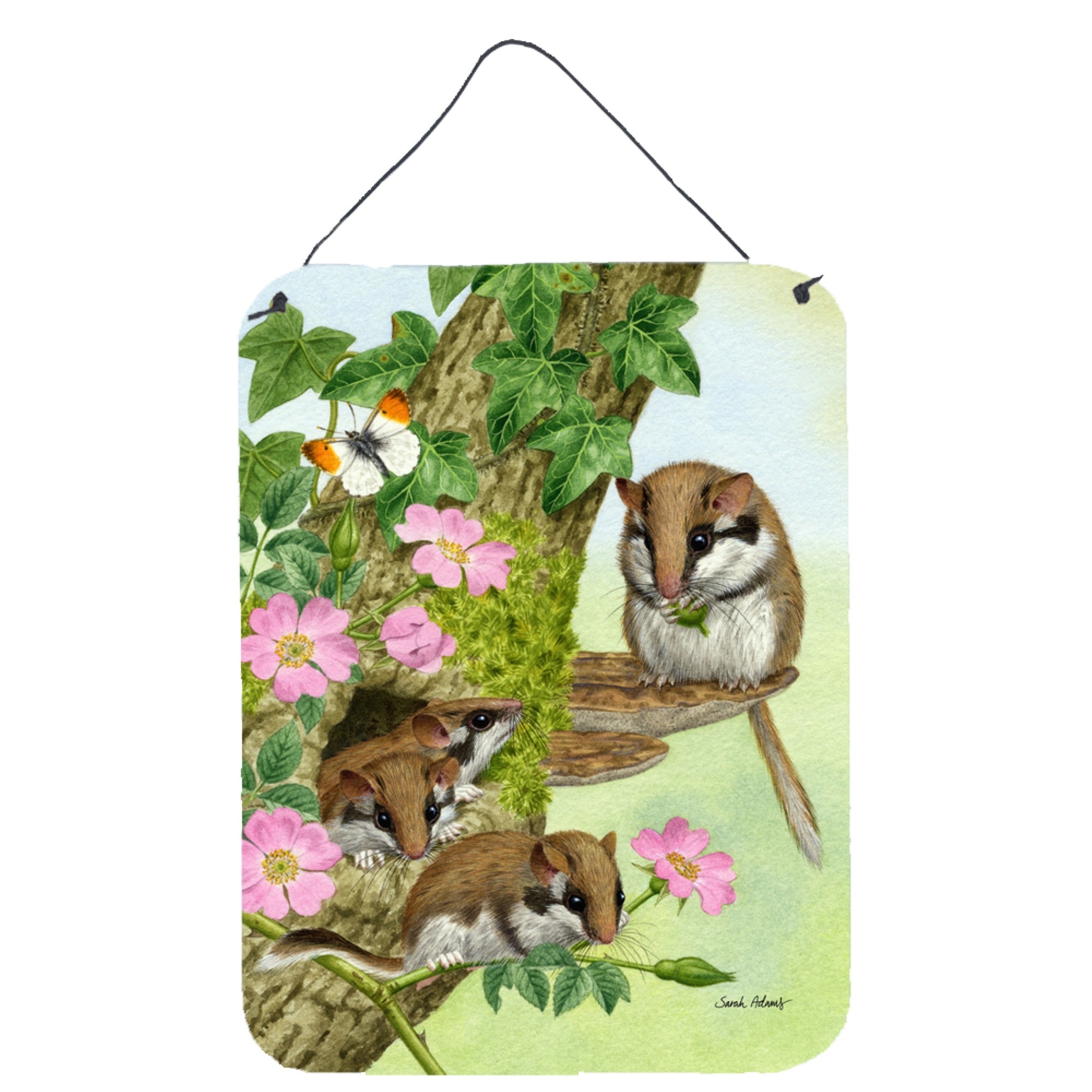 'Caroline'S Treasures Dormice Dormouse Wall Or Door Hanging Prints Asa2139Ds1216, 16Hx12W, Multicolor''