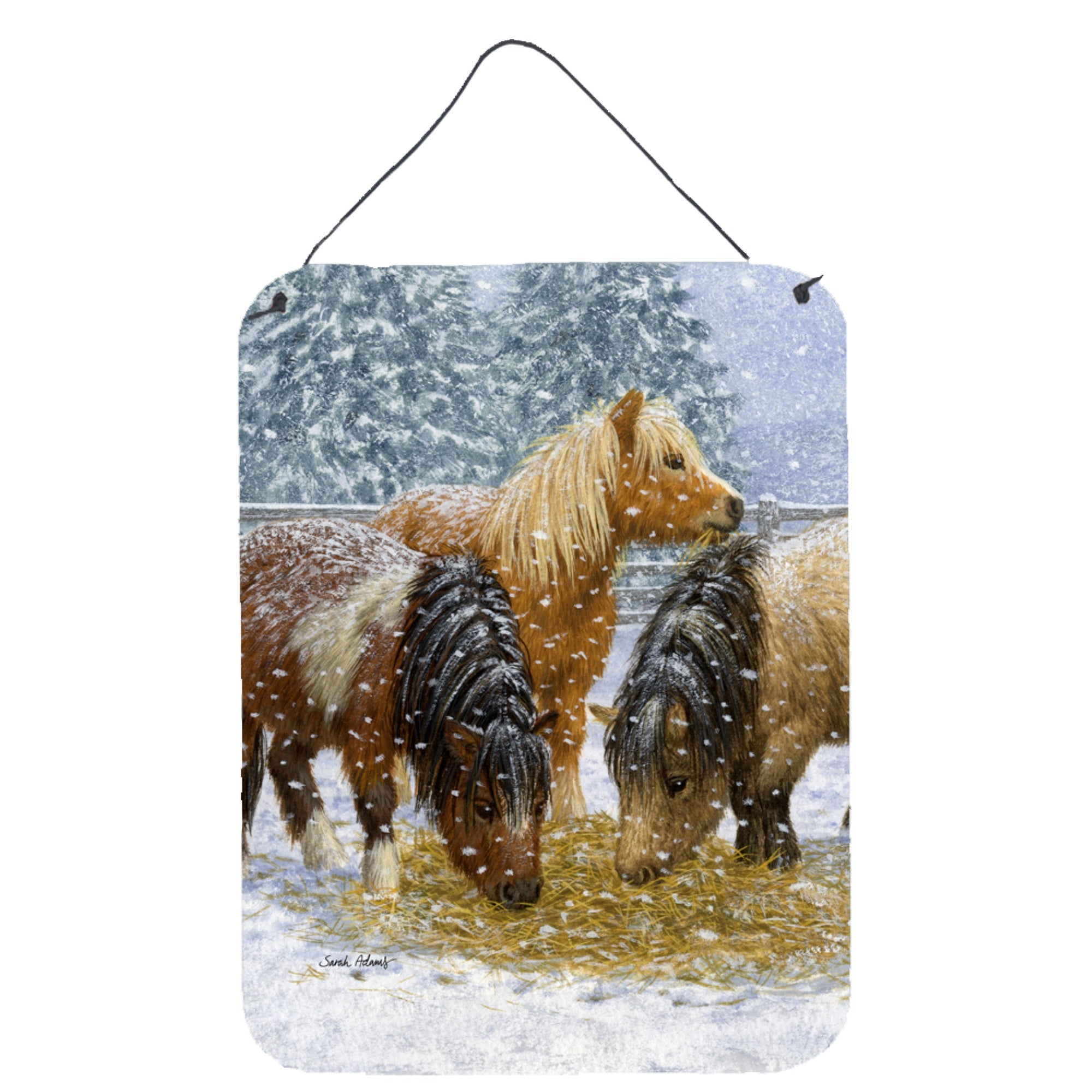 'Caroline'S Treasures Shetland Ponies Wall Or Door Hanging Prints Asa2146Ds1216, 16Hx12W, Multicolor''