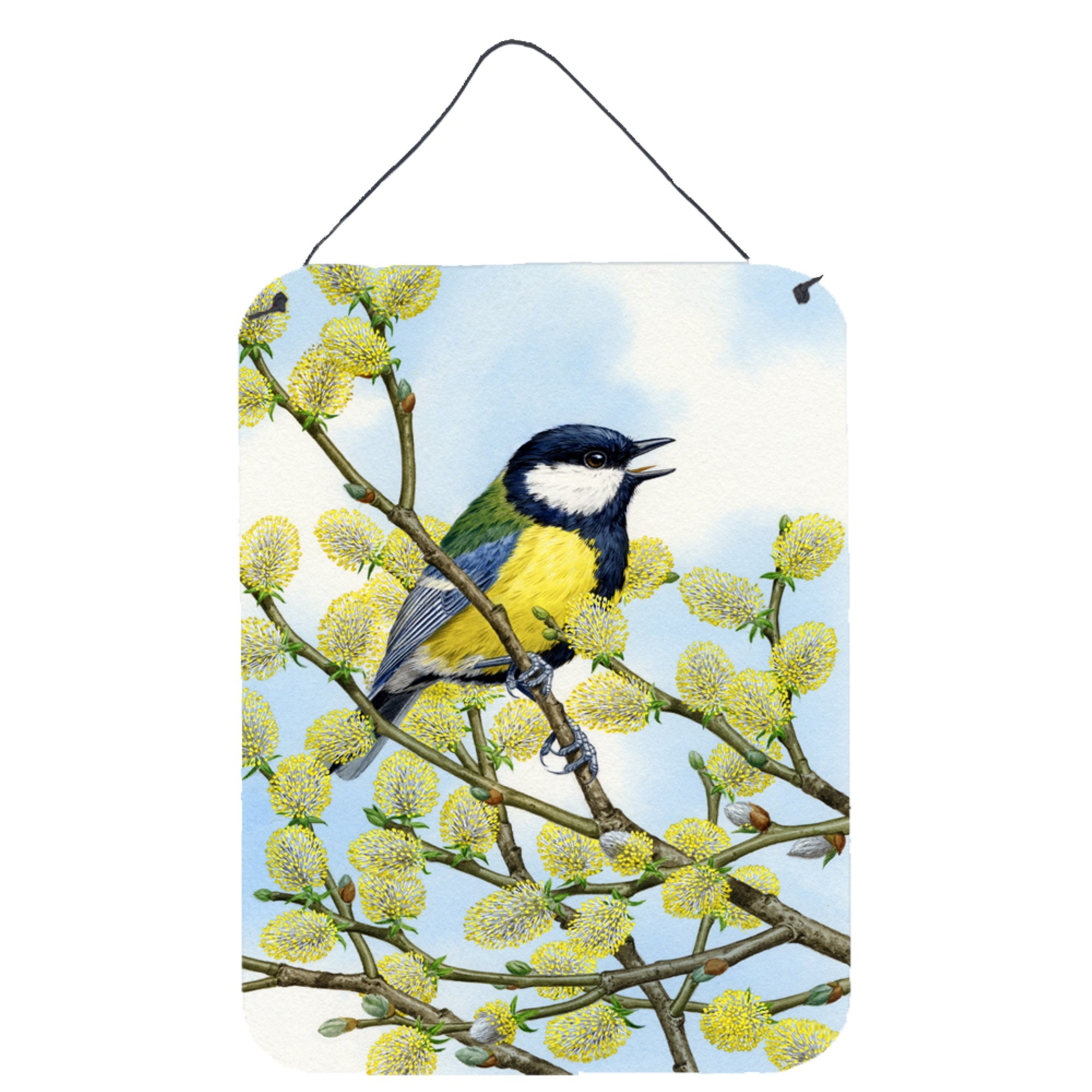 'Caroline'S Treasures Eurasian Blue Tit On A Branch Wall Or Door Hanging Prints Asa2156Ds1216, 16Hx12W, Multicolor''