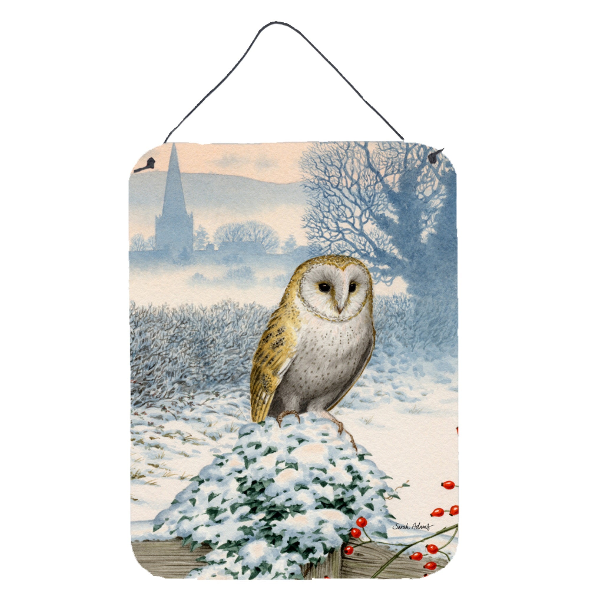 'Caroline'S Treasures Barn Owl Wall Or Door Hanging Prints Asa2157Ds1216, 16Hx12W, Multicolor''