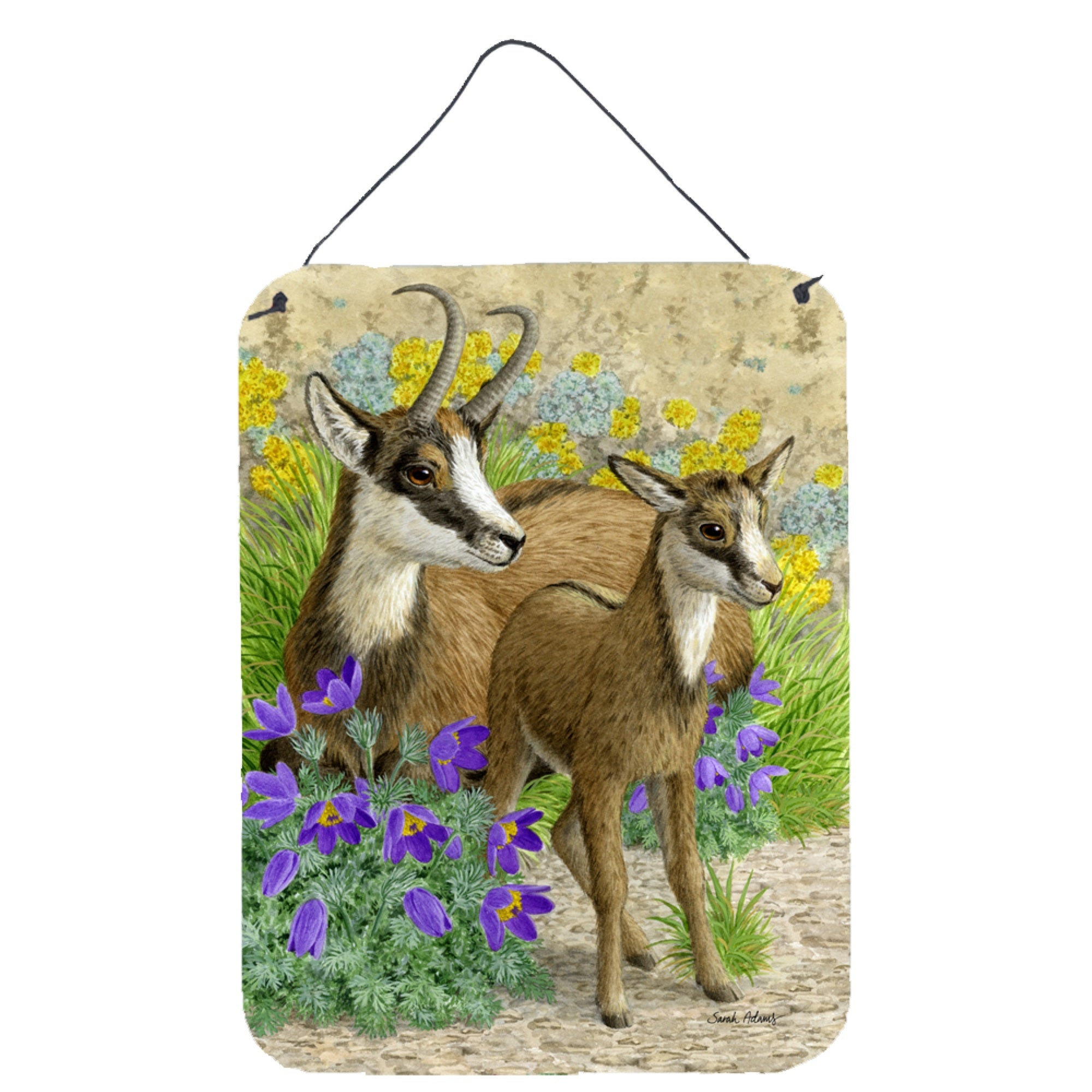 'Caroline'S Treasures Chamois Wall Or Door Hanging Prints Asa2161Ds1216, 16Hx12W, Multicolor''