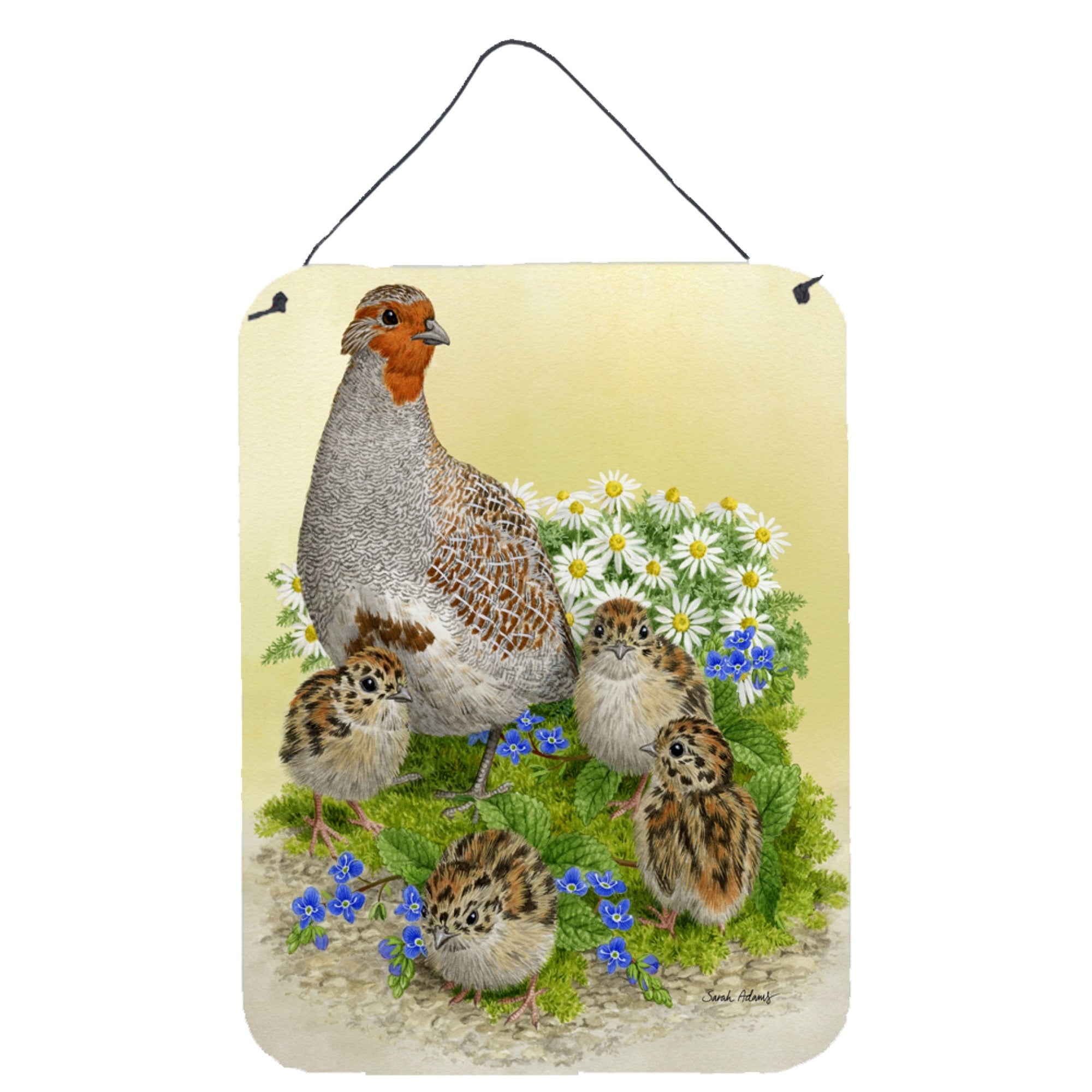 'Caroline'S Treasures Partridge And Chicks Wall Or Door Hanging Prints Asa2162Ds1216, 16Hx12W, Multicolor''