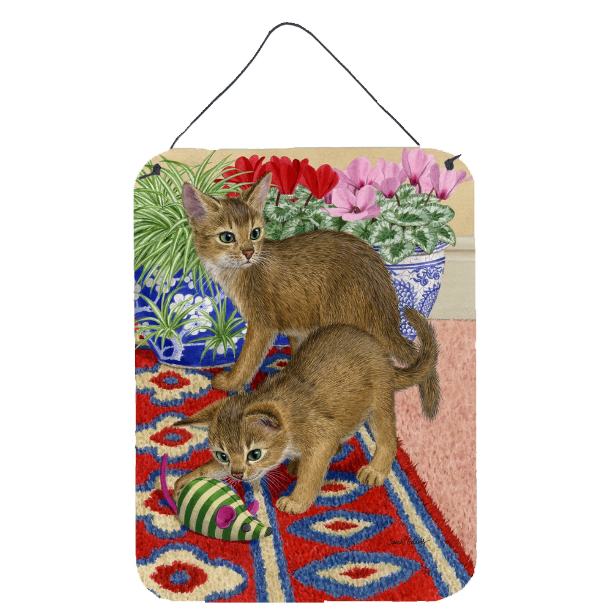'Caroline'S Treasures Abyssinian Kitten Wall Or Door Hanging Prints Asa2164Ds1216, 16Hx12W, Multicolor''
