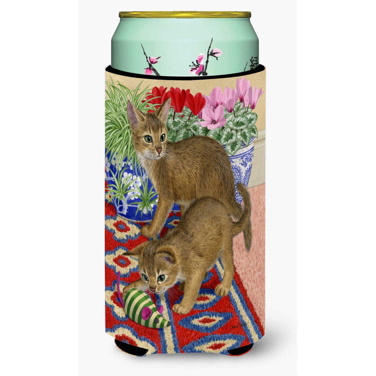 'Caroline'S Treasures Abyssinian Kitten Tall Boy Koozie Hugger, Multicolor''