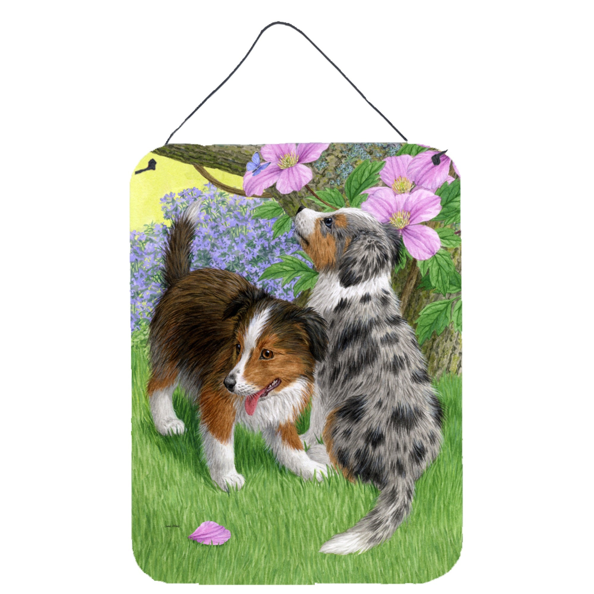 'Caroline'S Treasures Sheltie Puppies Wall Or Door Hanging Prints Asa2166Ds1216, 16Hx12W, Multicolor''