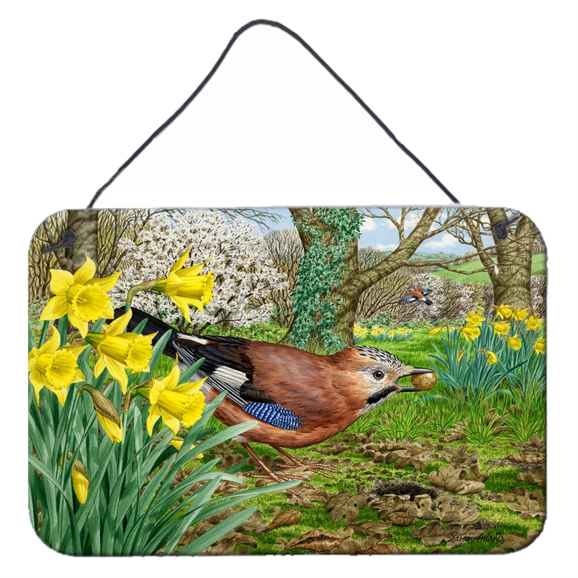 'Caroline'S Treasures Jay Wall Or Door Hanging Prints Asa2176Ds812, 8Hx12W, Multicolor''