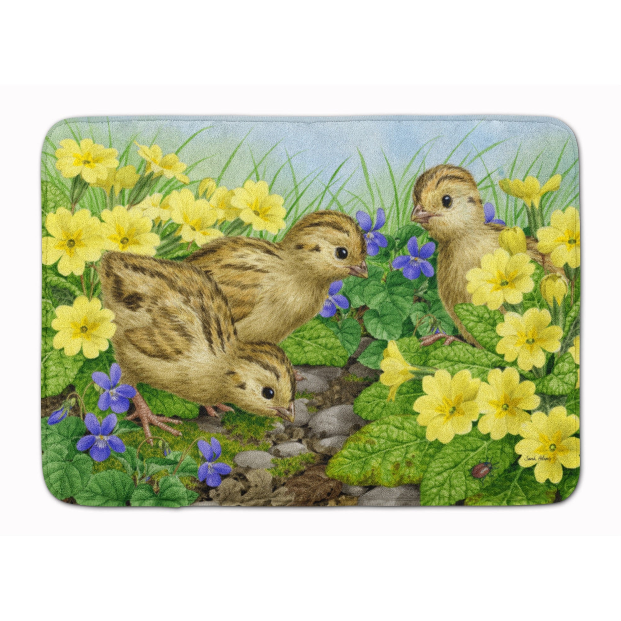 'Caroline'S Treasures Pheasant Chicks Floor Mat, 19'''' X 27'''', Multicolor''
