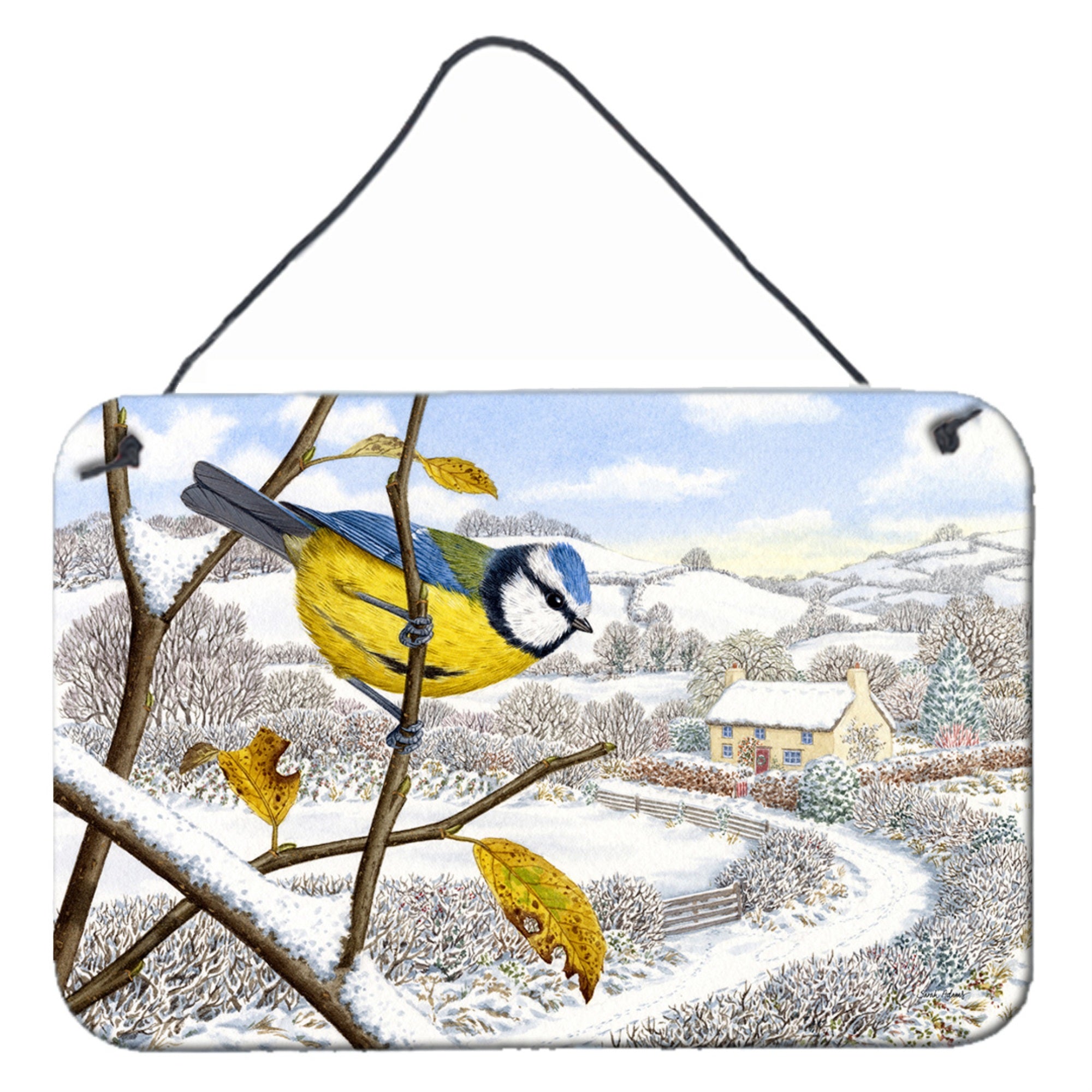 'Caroline'S Treasures Winter Eurasian Blue Tit Wall Or Door Hanging Prints Asa2188Ds812, 8''''H X 12''''W, Multicolor''