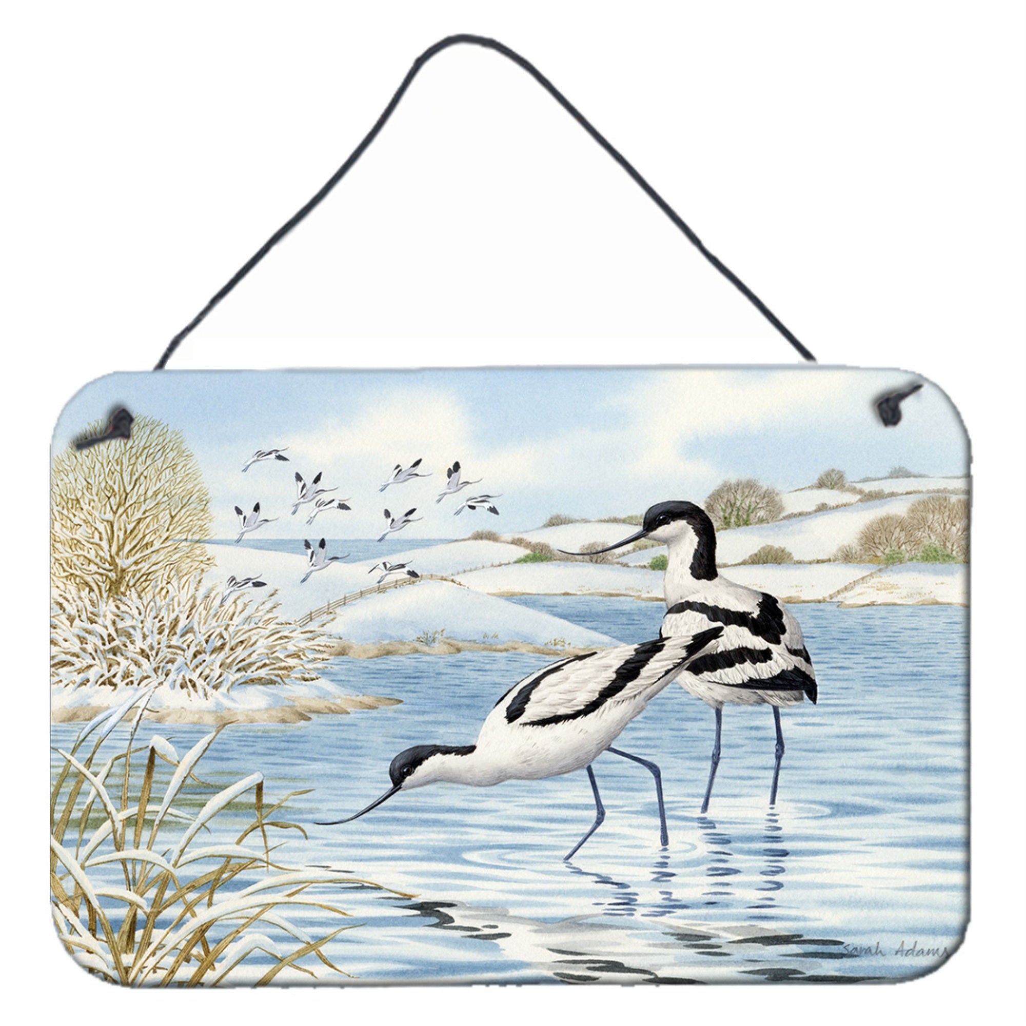 'Caroline'S Treasures Avocet Wall Or Door Hanging Prints Asa2190Ds812, 8Hx12W, Multicolor''