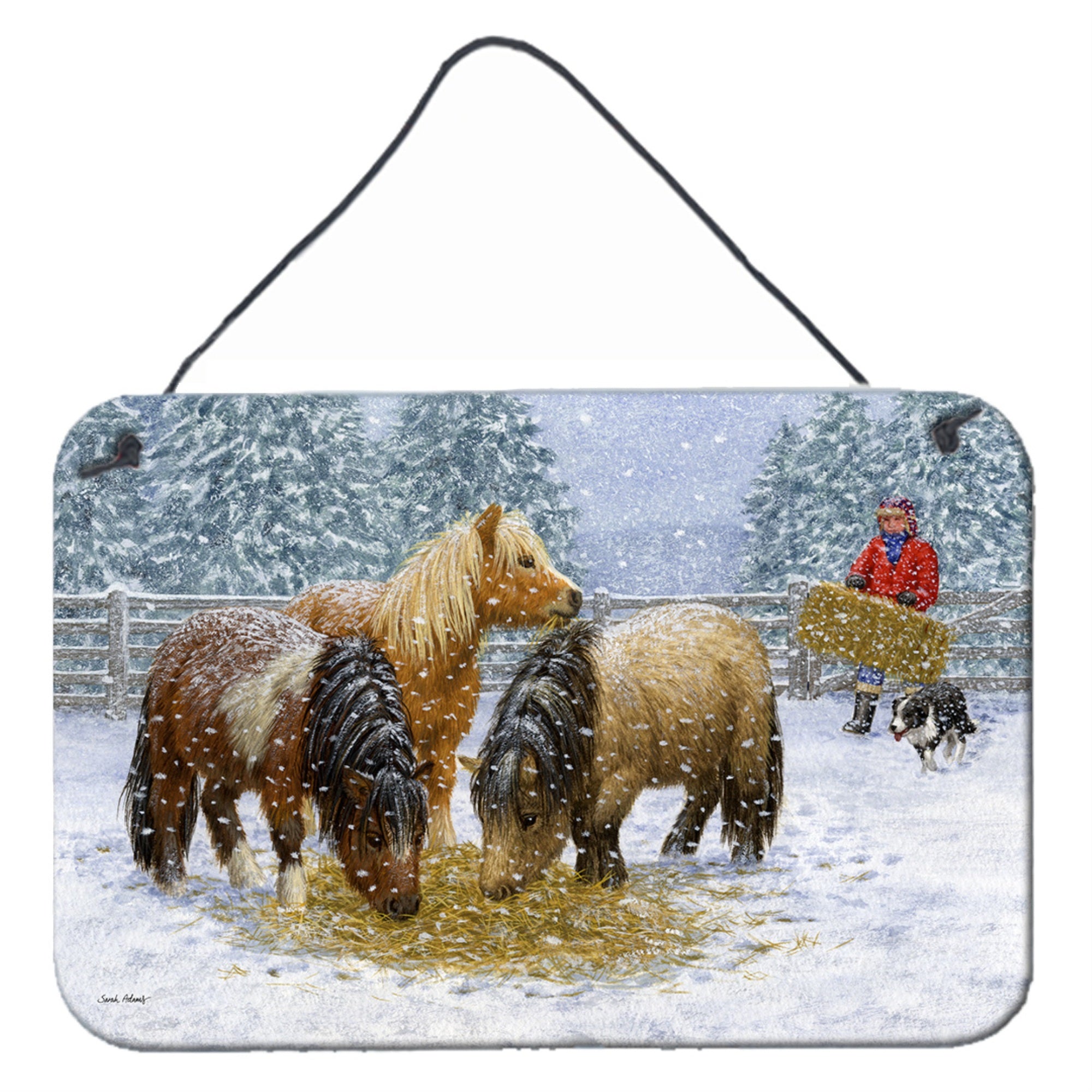 'Caroline'S Treasures Shetland Ponies Wall Or Door Hanging Prints Asa2206Ds812, 8Hx12W, Multicolor''