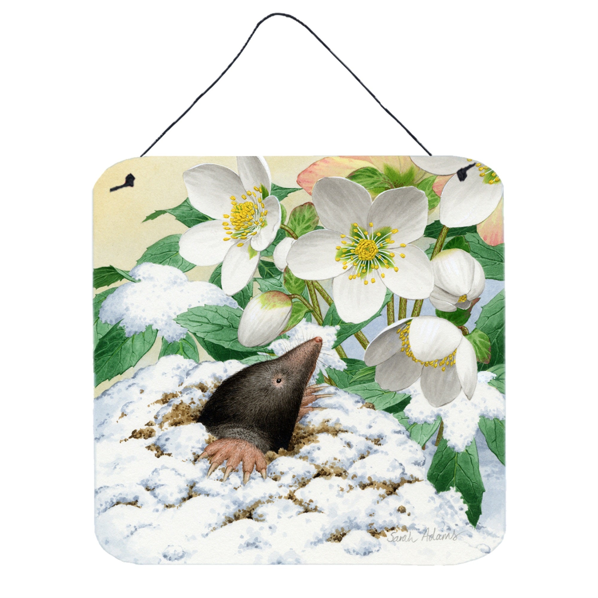 'Caroline'S Treasures Mole By Sarah Adams Wall Or Door Hanging Prints Asad0387Ds66, 6Hx6W, Multicolor''