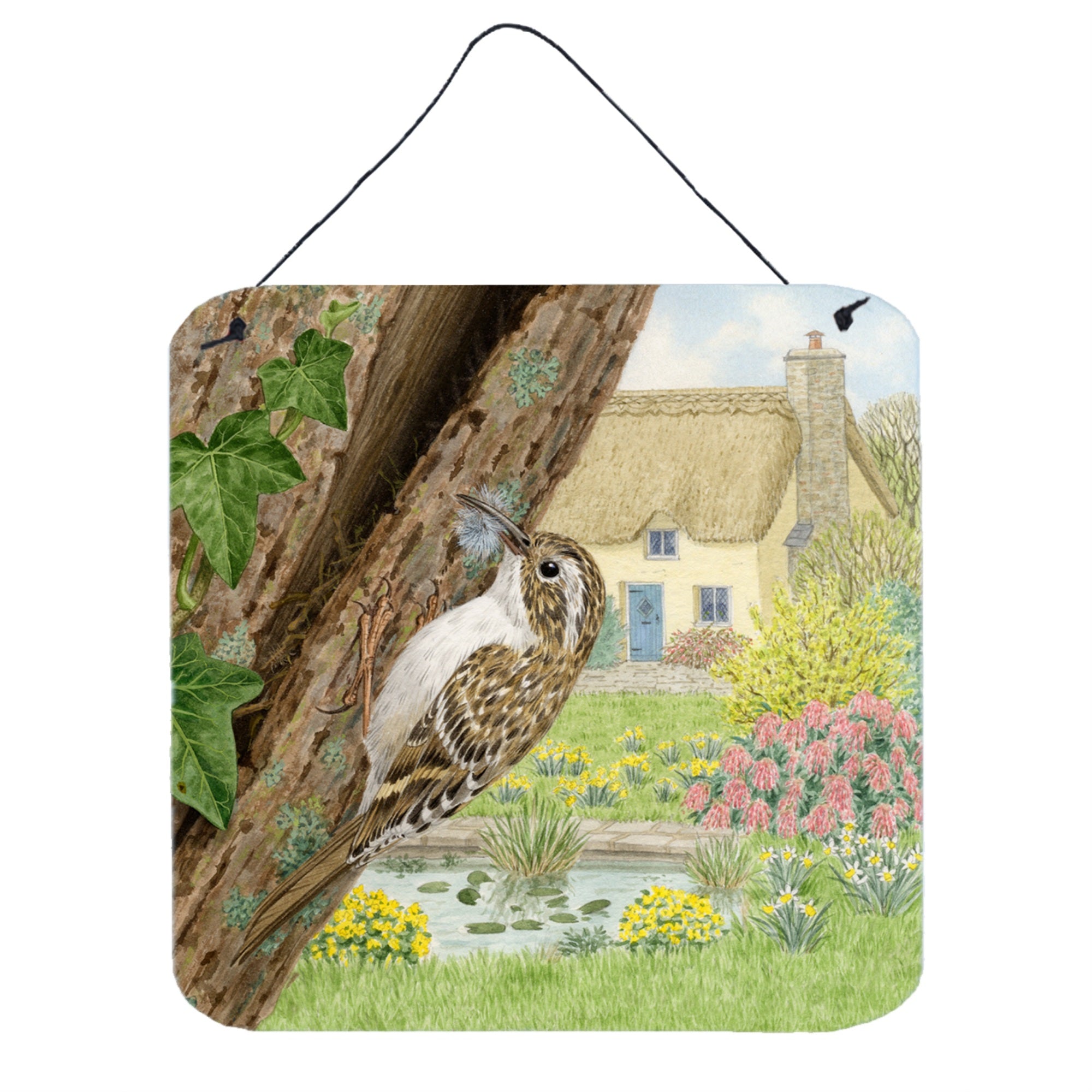 'Caroline'S Treasures Treecreeper By Sarah Adams Wall Or Door Hanging Prints Asad0680Ds66, 6Hx6W, Multicolor''