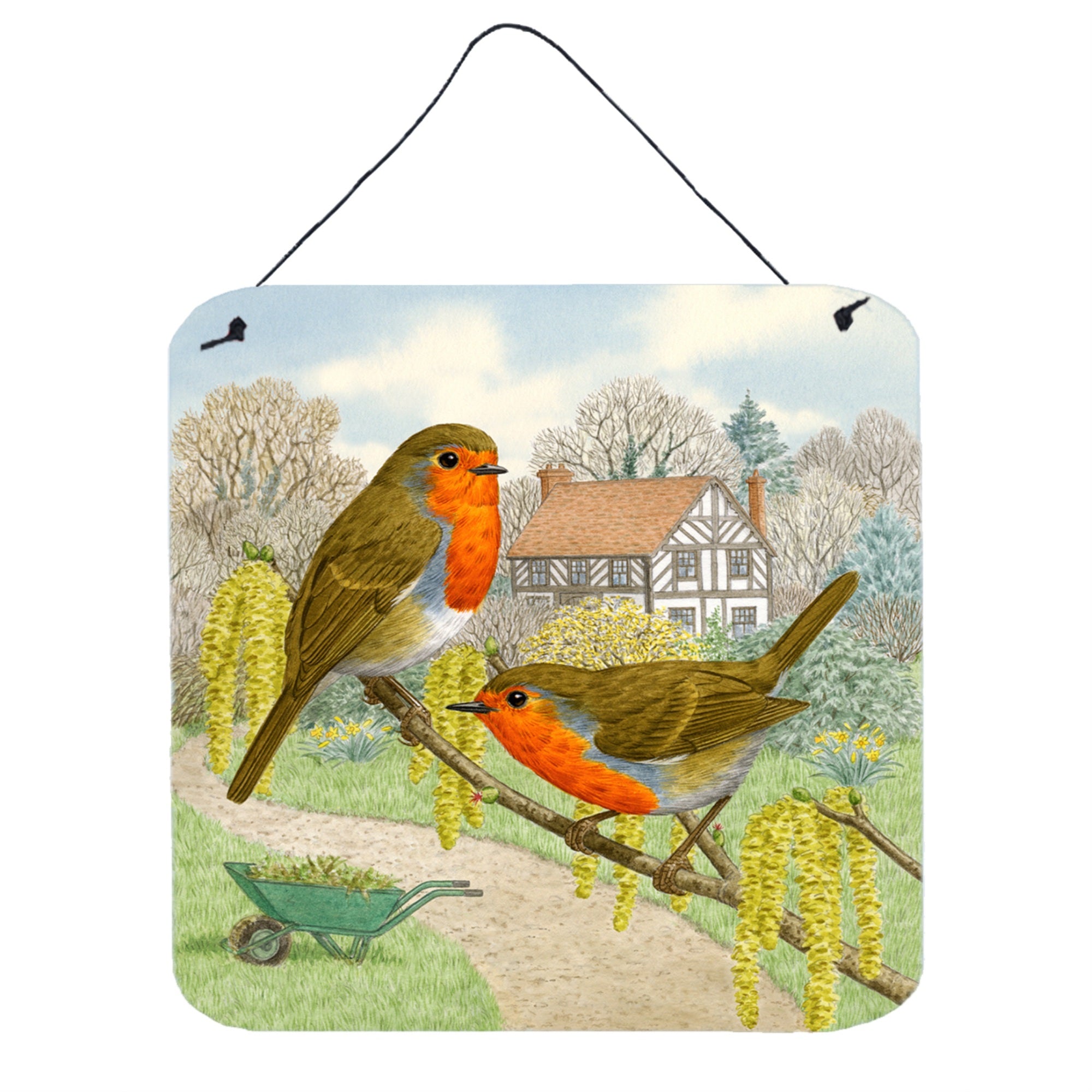 'Caroline'S Treasures European Robin By Sarah Adams Wall Or Door Hanging Prints Asad0684Ds66, 6Hx6W, Multicolor''