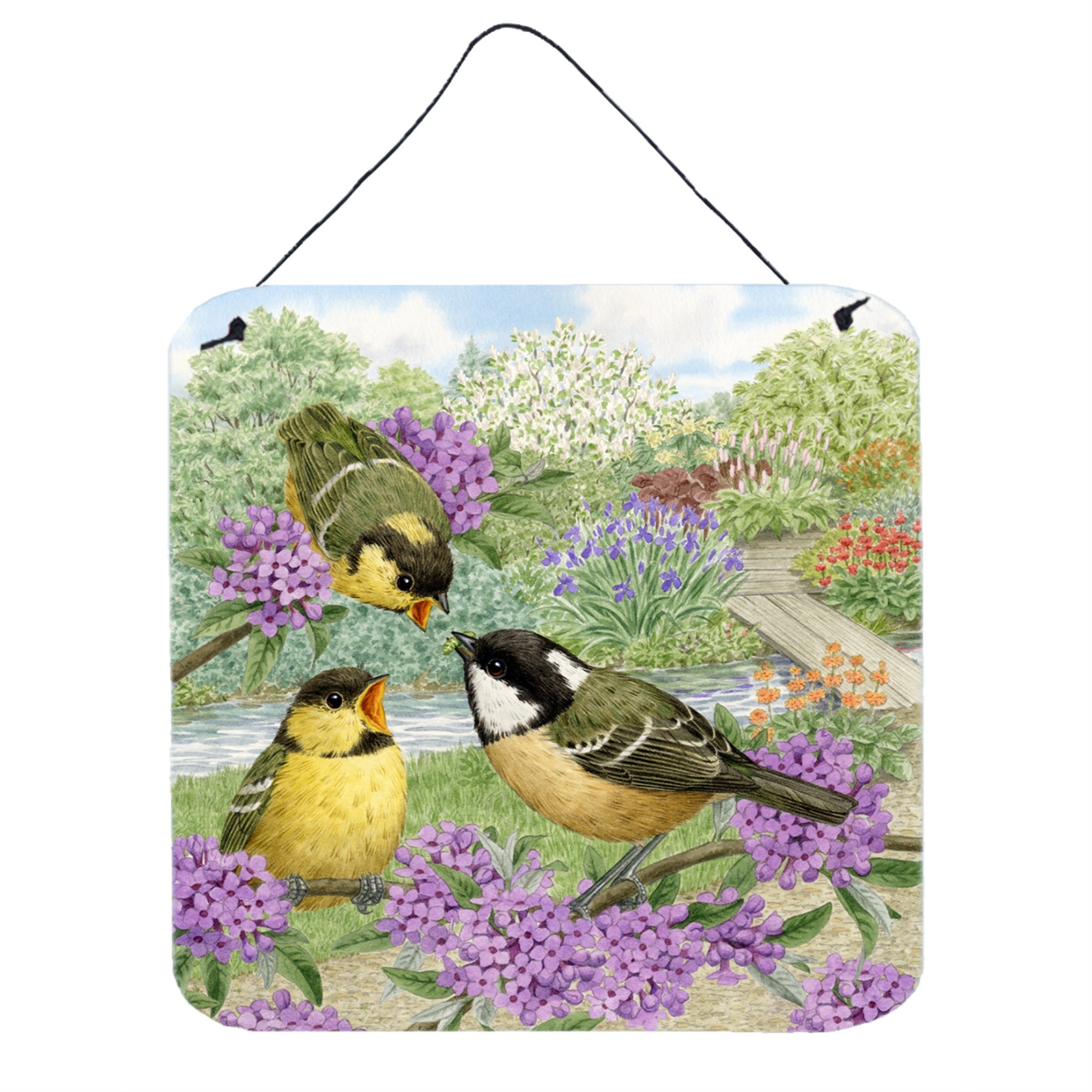'Caroline'S Treasures Coal Tits Feeding Time Wall Or Door Hanging Prints Asad0686Ds66, 6Hx6W, Multicolor''