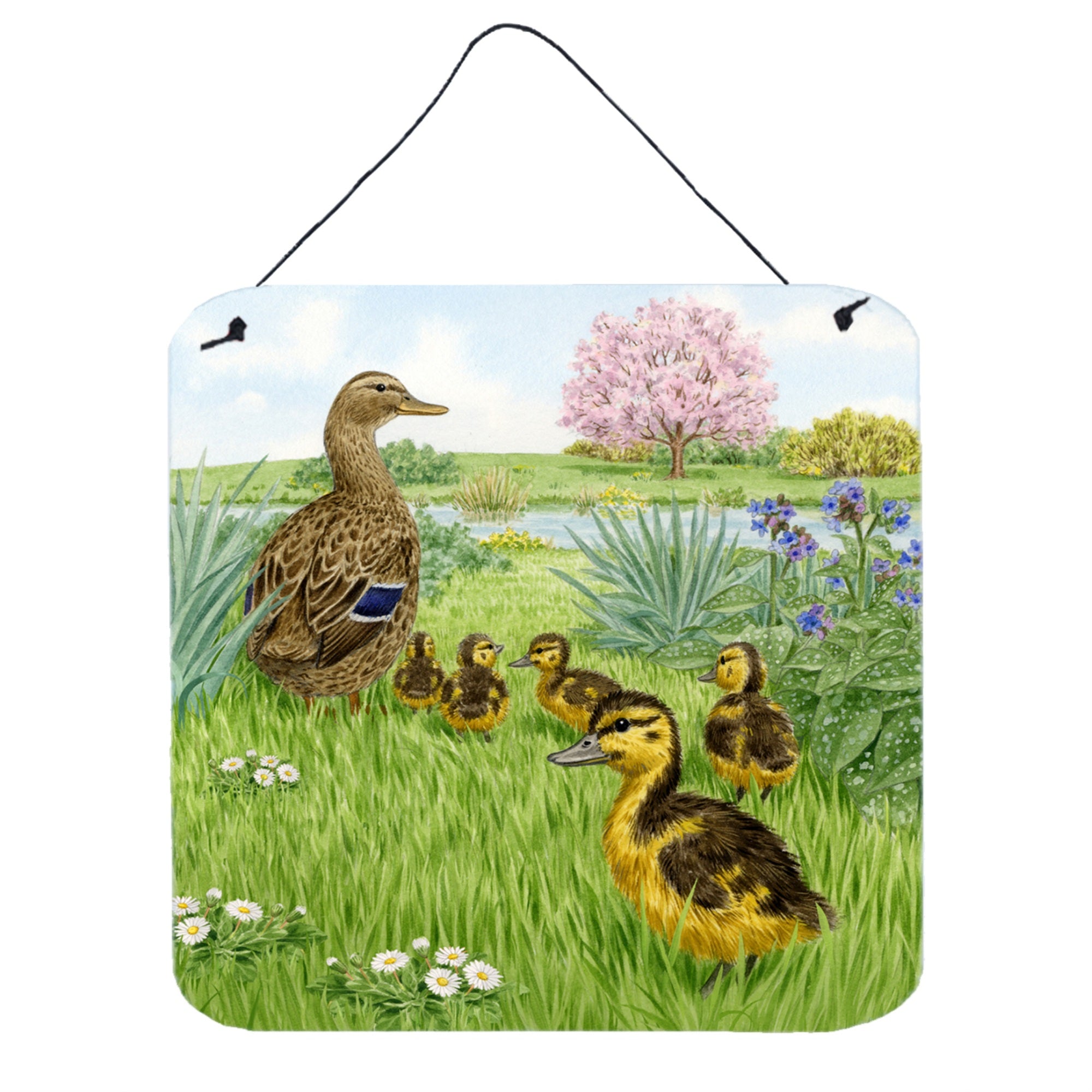 'Caroline'S Treasures Mallard And Ducklings By Sarah Adams Wall Or Door Hanging Prints Asad0693Ds66, 6Hx6W, Multicolor''
