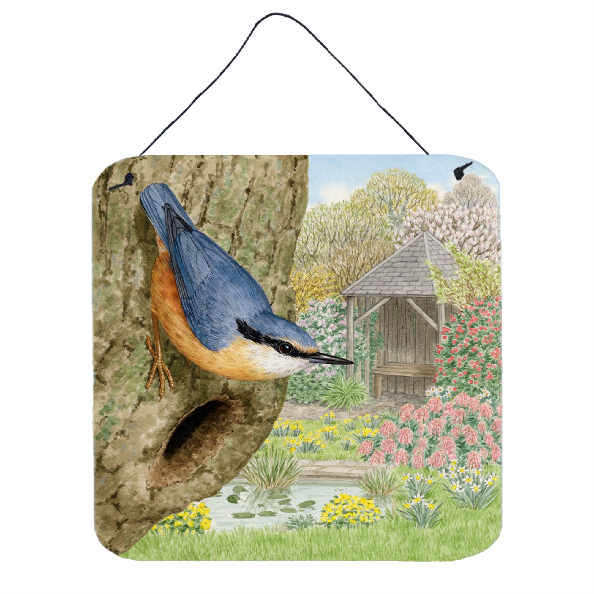 'Caroline'S Treasures Nuthatch By Sarah Adams Wall Or Door Hanging Prints Asad0696Ds66, 6Hx6W, Multicolor''