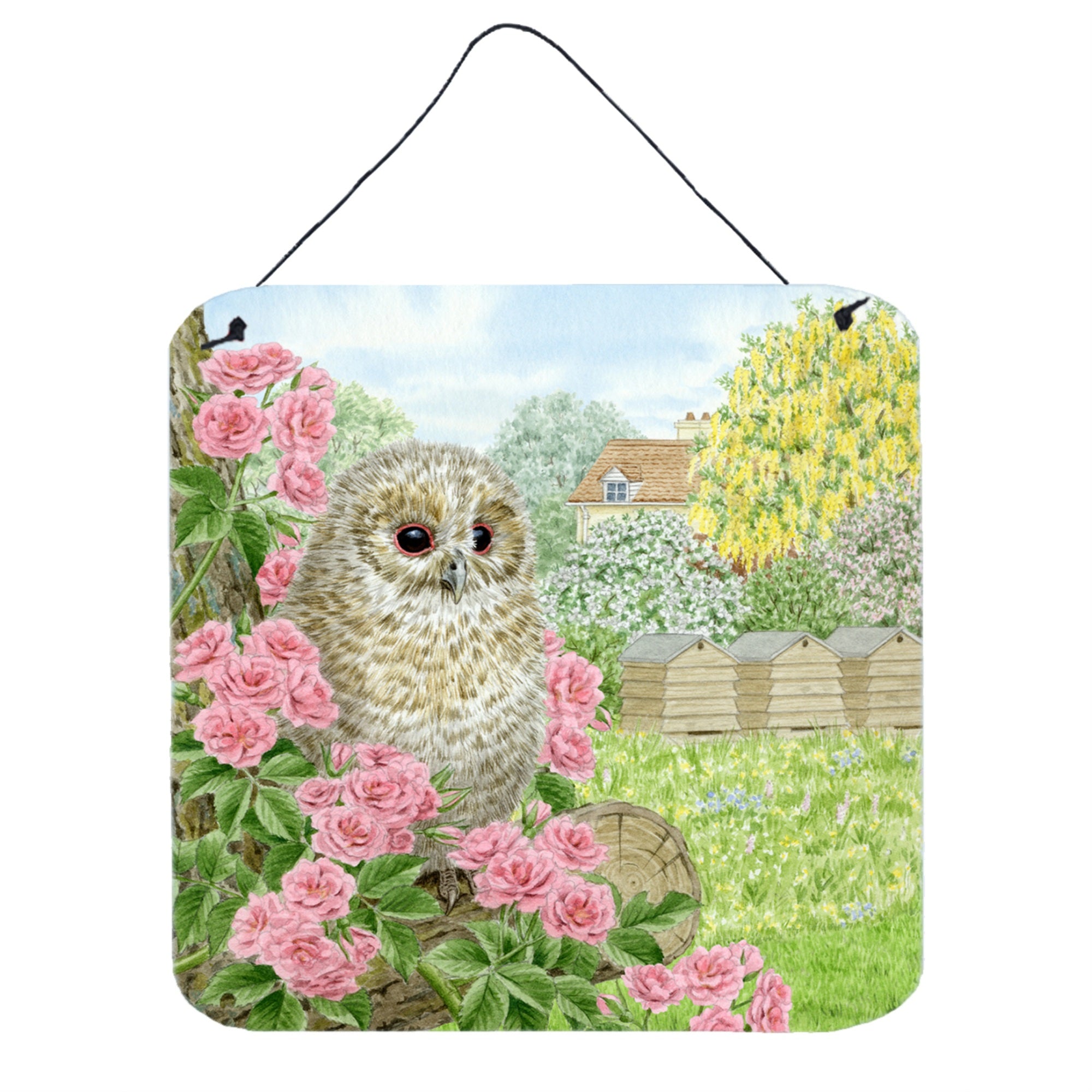 'Caroline'S Treasures Tawny Owlet By Sarah Adams Wall Or Door Hanging Prints Asad0697Ds66, 6Hx6W, Multicolor''