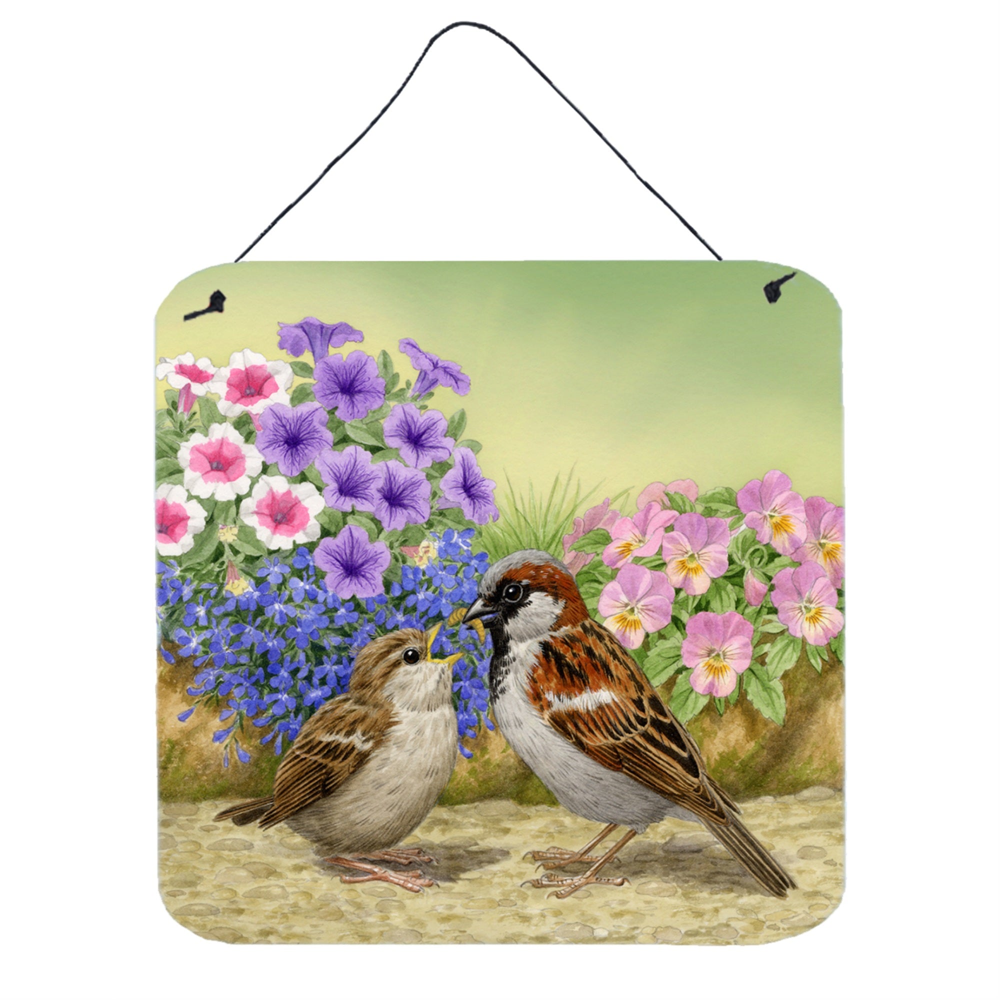 'Caroline'S Treasures House Sparrows Feeding Time Wall Or Door Hanging Prints Asad0700Ds66, 6Hx6W, Multicolor''