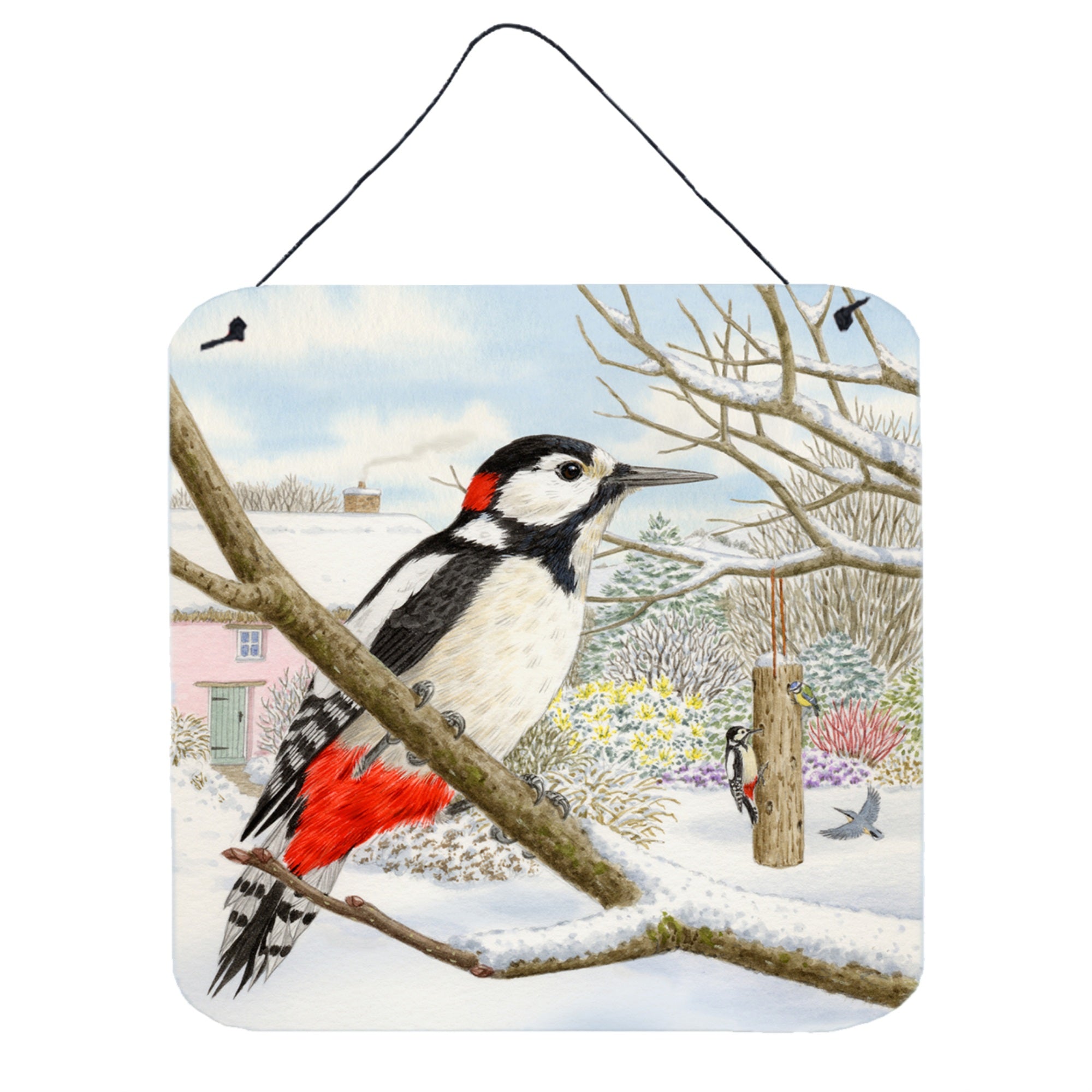 'Caroline'S Treasures Spotted Woodpecker By Sarah Adams Wall Or Door Hanging Prints Asad0701Ds66, 6Hx6W, Multicolor''