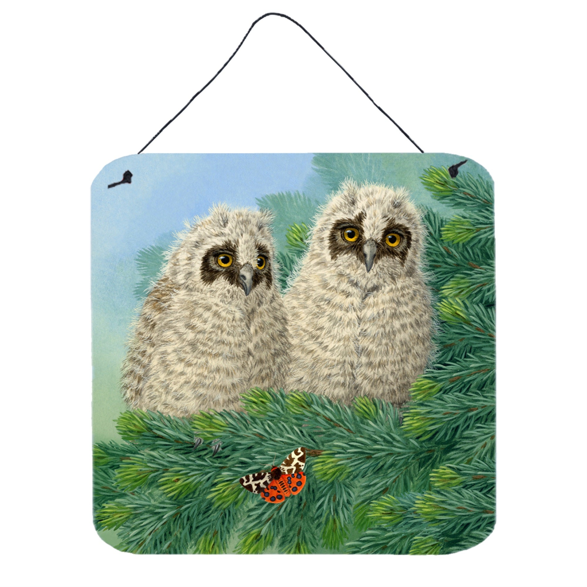 'Caroline'S Treasures Owlets And Butterfly By Sarah Adams Wall Or Door Hanging Prints Asad0724Ds66, 6Hx6W, Multicolor''
