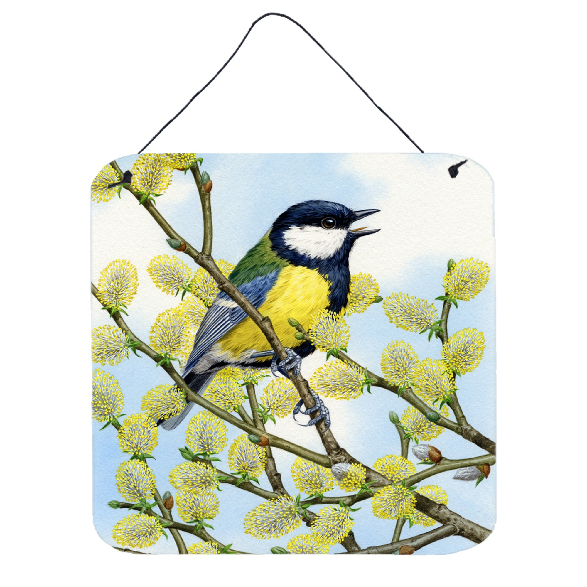 'Caroline'S Treasures Eurasian Blue Tit By Sarah Adams Wall Or Door Hanging Prints Asad0777Ds66, 6''''H X 6''''W, Multicolor''
