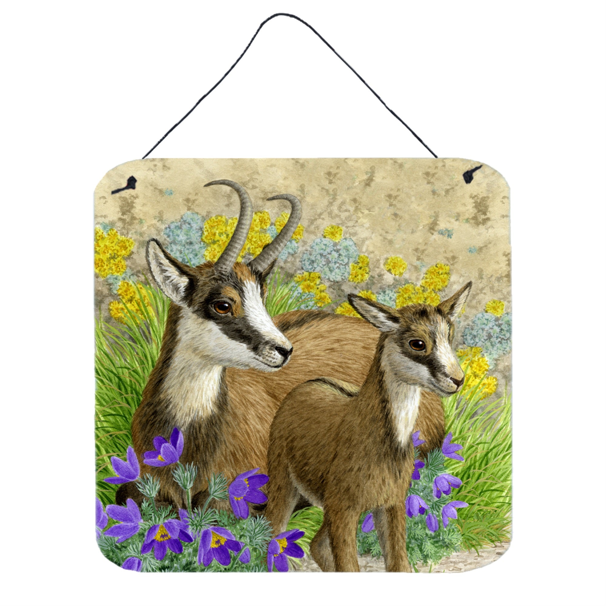 'Caroline'S Treasures Chamois By Sarah Adams Wall Or Door Hanging Prints Asad0789Ds66, 6Hx6W, Multicolor''