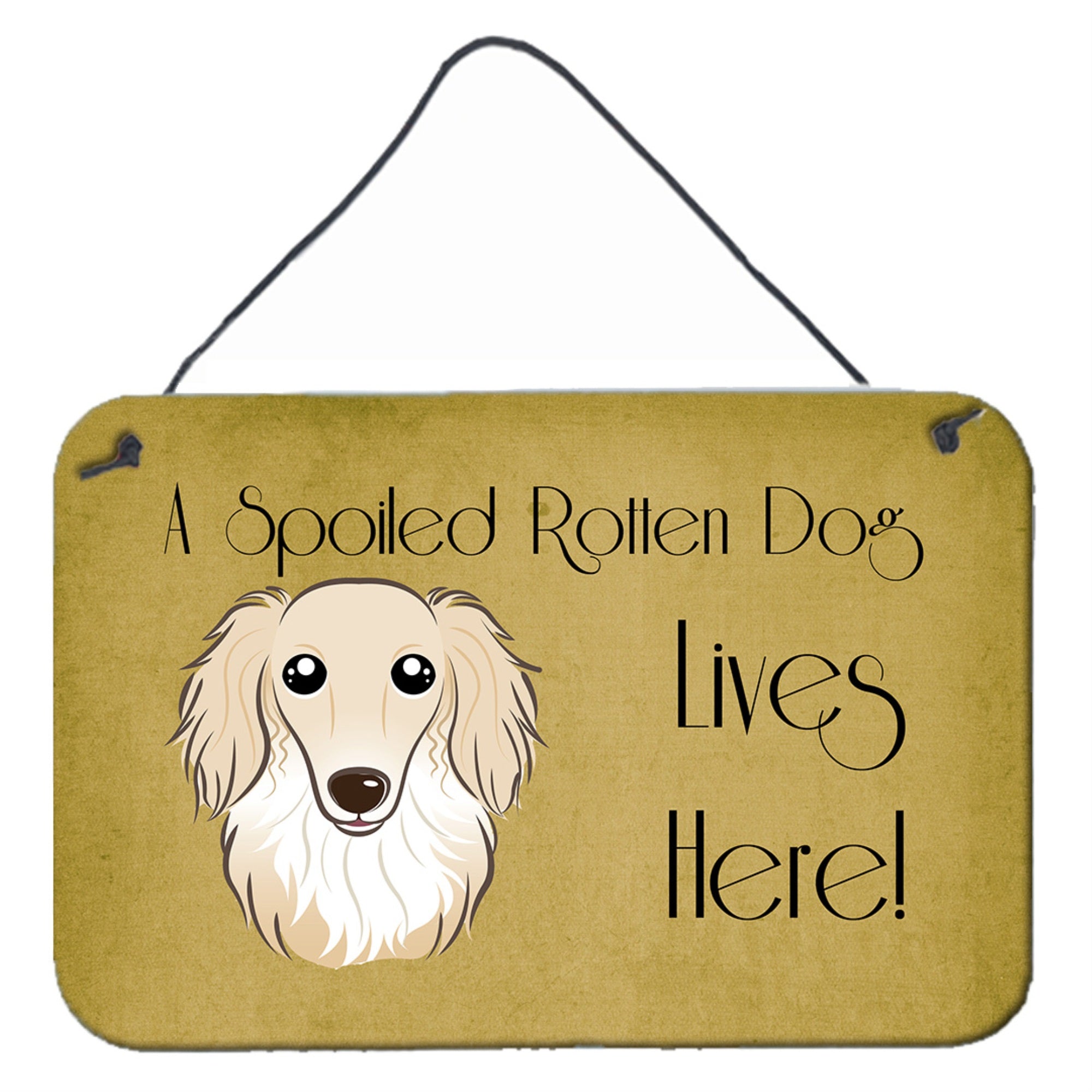 'Caroline'S Treasures Bb1460Ds812 Longhair Creme Dachshund Spoiled Dog Lives Here Wall Or Door Hanging Prints, 8 X 12'''', Mult